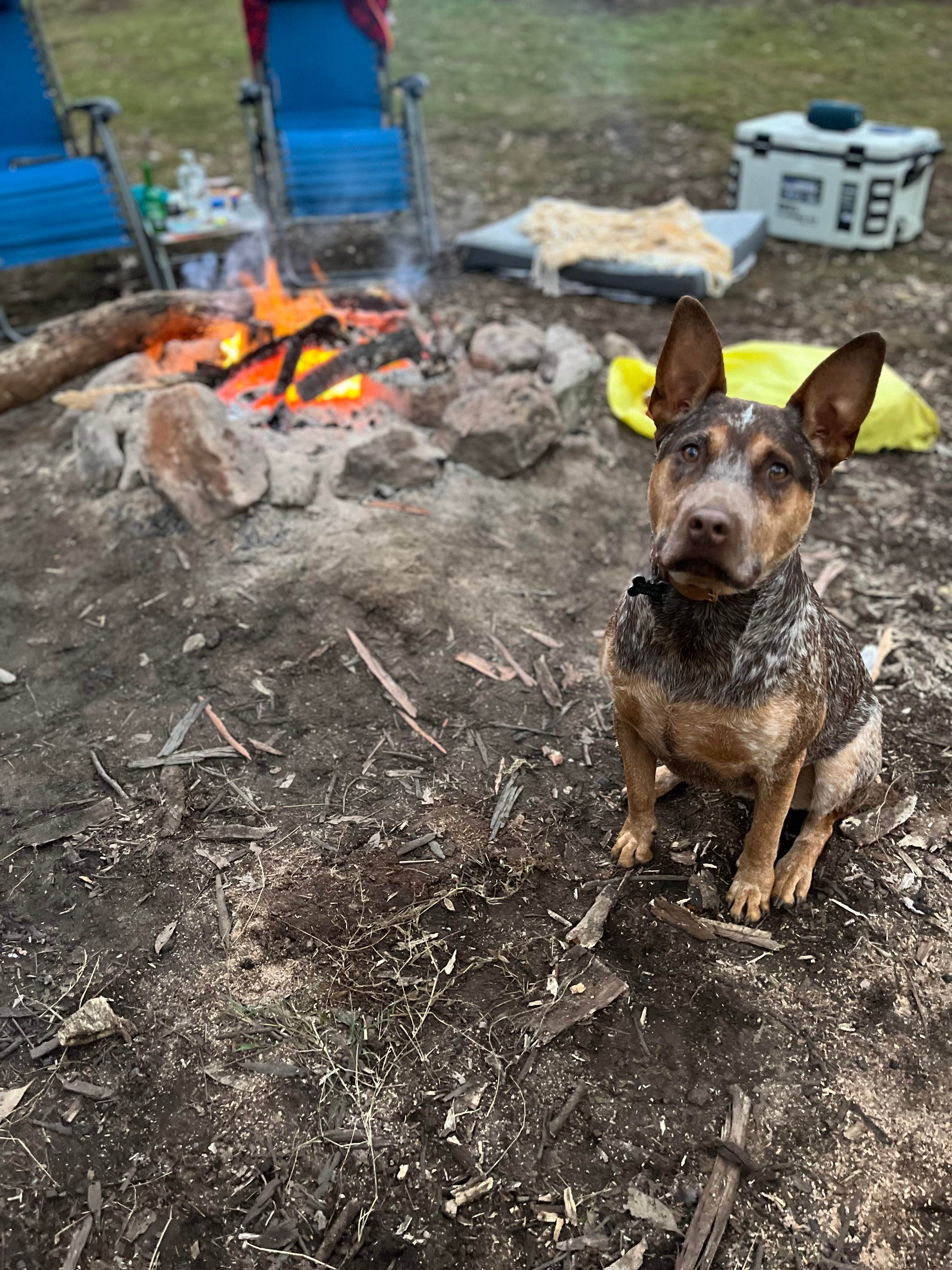 TJ’s 4B Park & Camping + Hiking