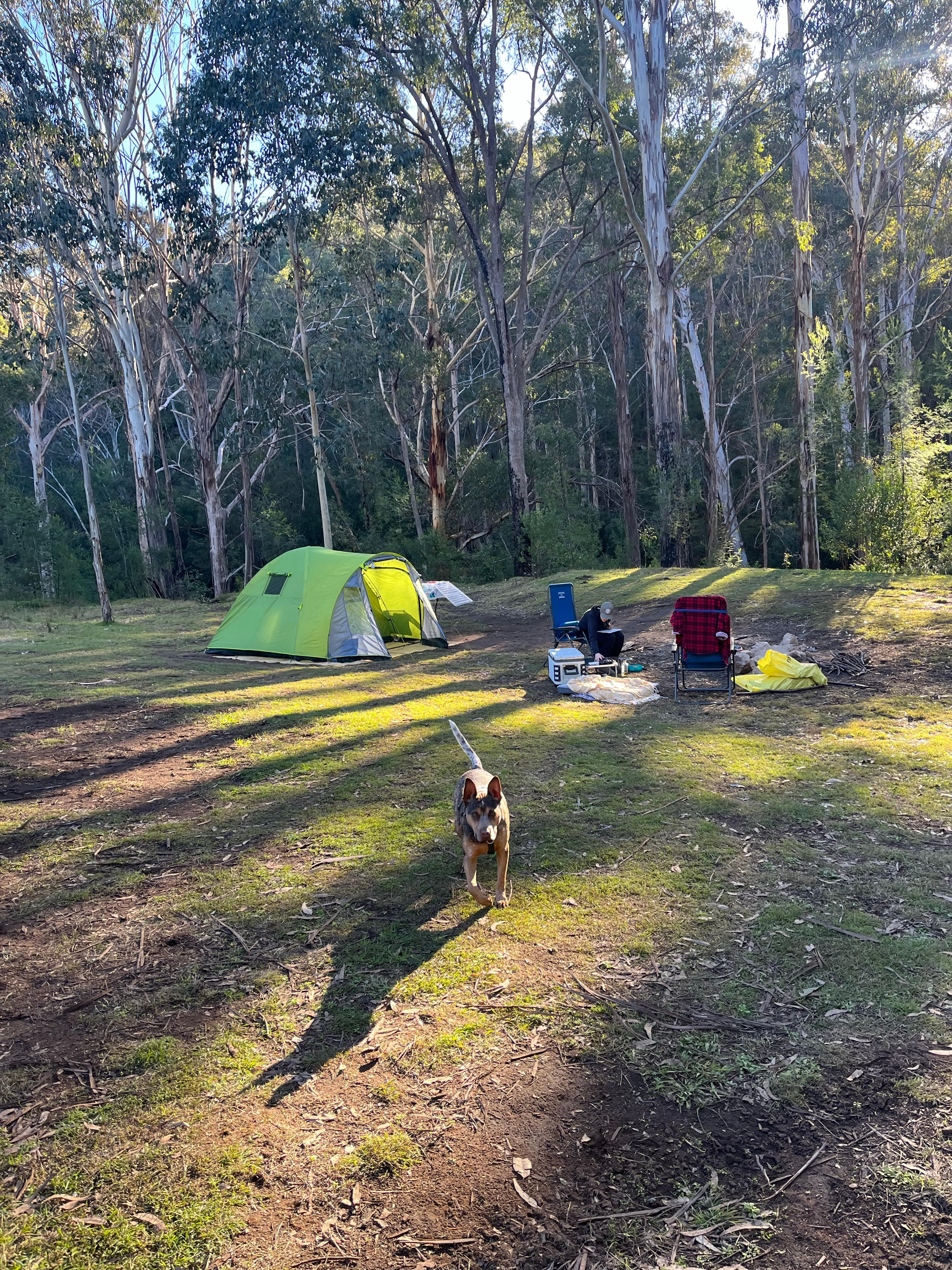 TJ’s 4B Park & Camping + Hiking