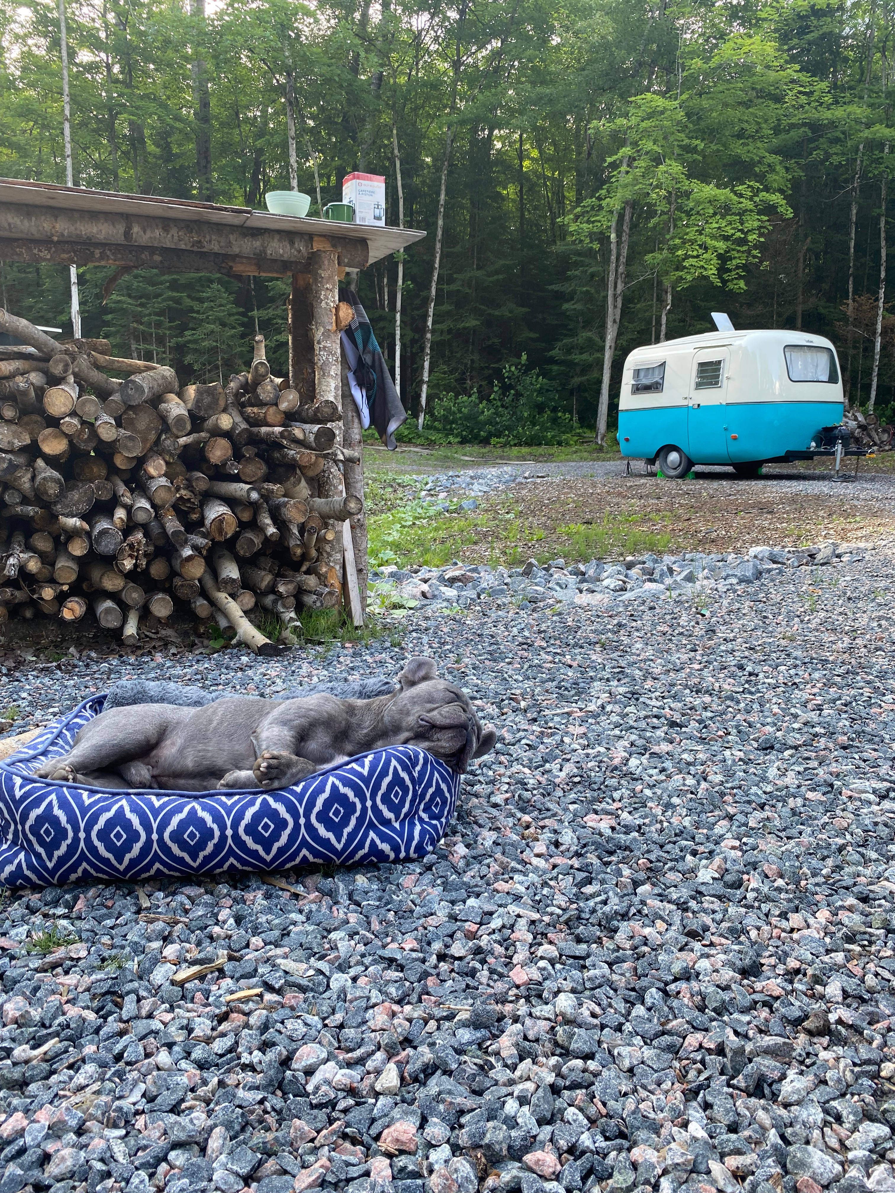 Off Grid Dark Sky River Retreat