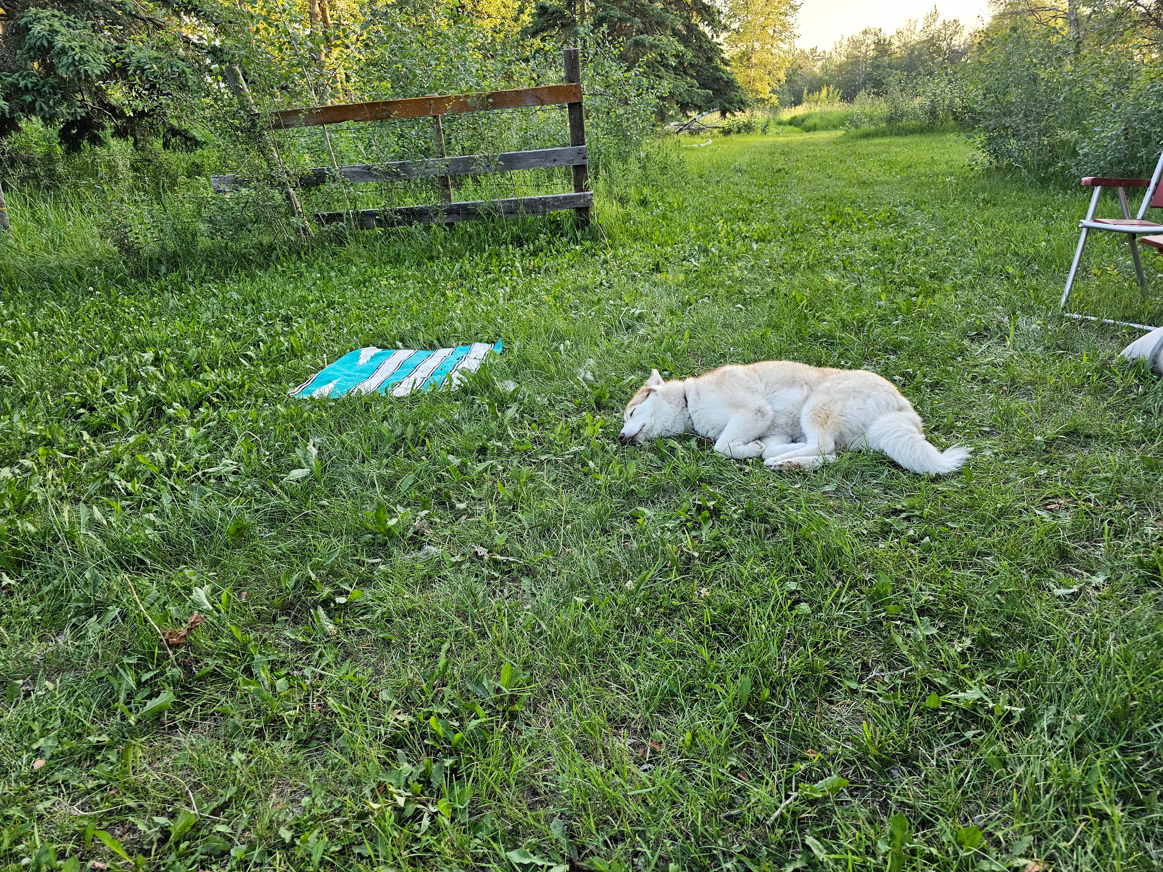 This area and the area past the fence would be good for more tents or camper