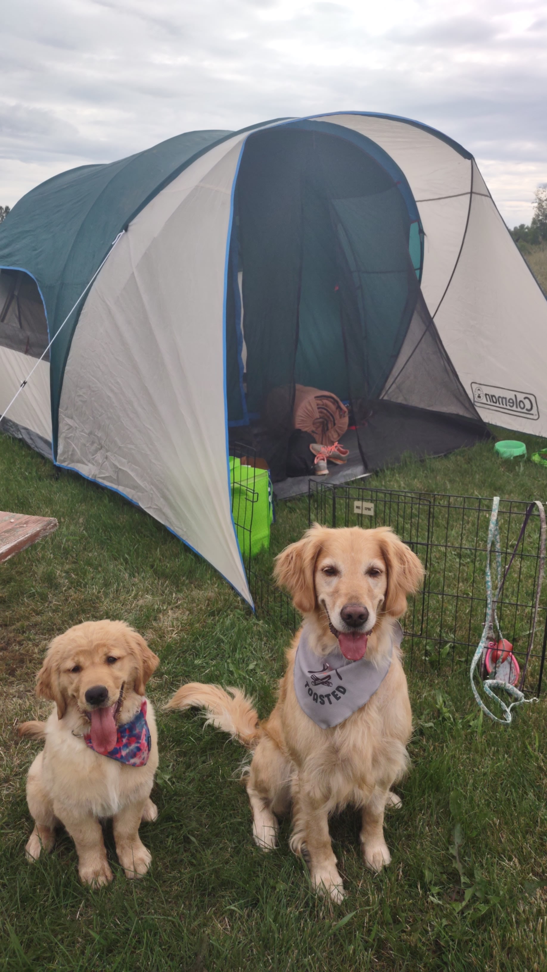 Waddington's Leishman Point