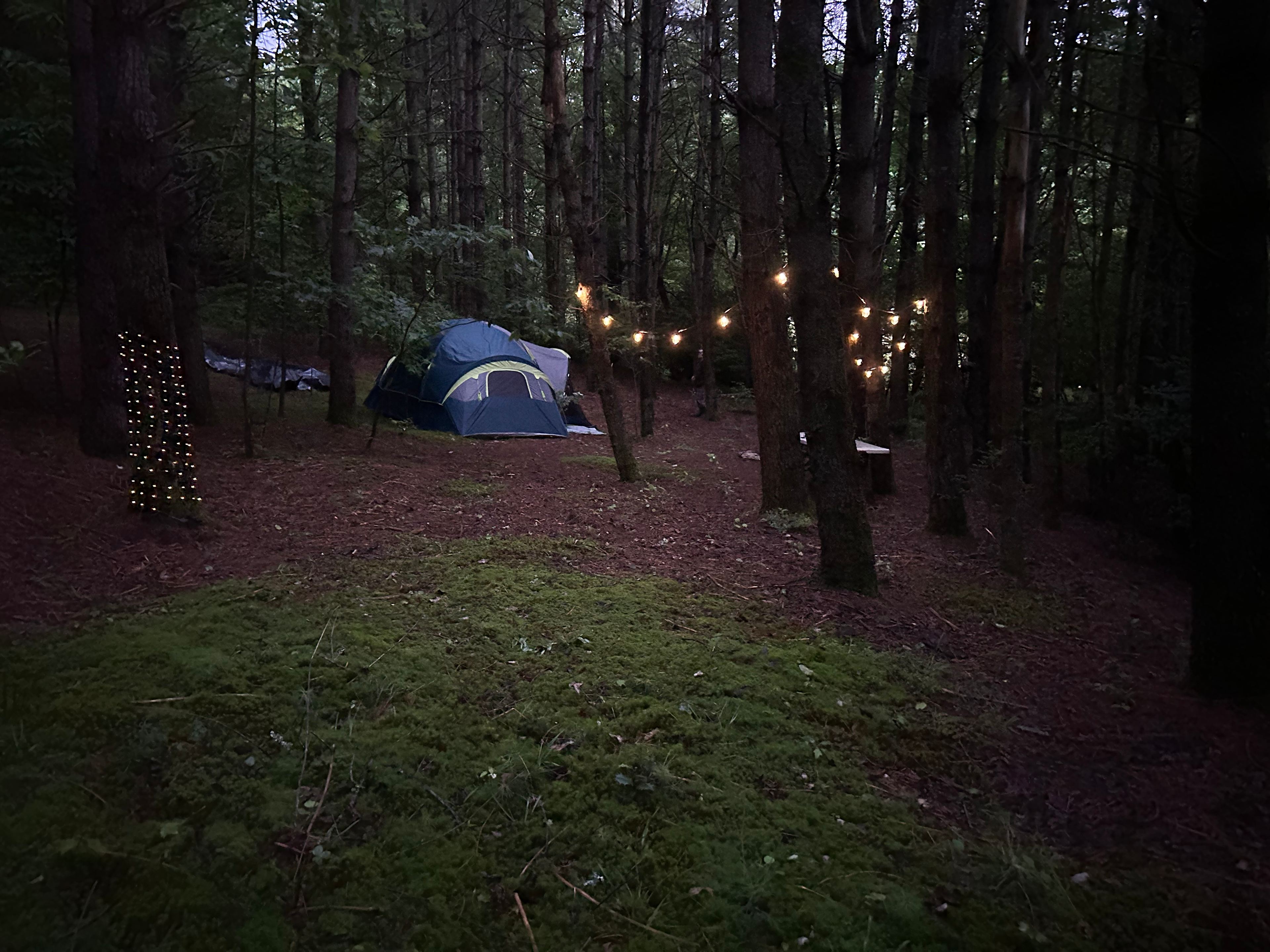 Experience this magical creek side camp. 