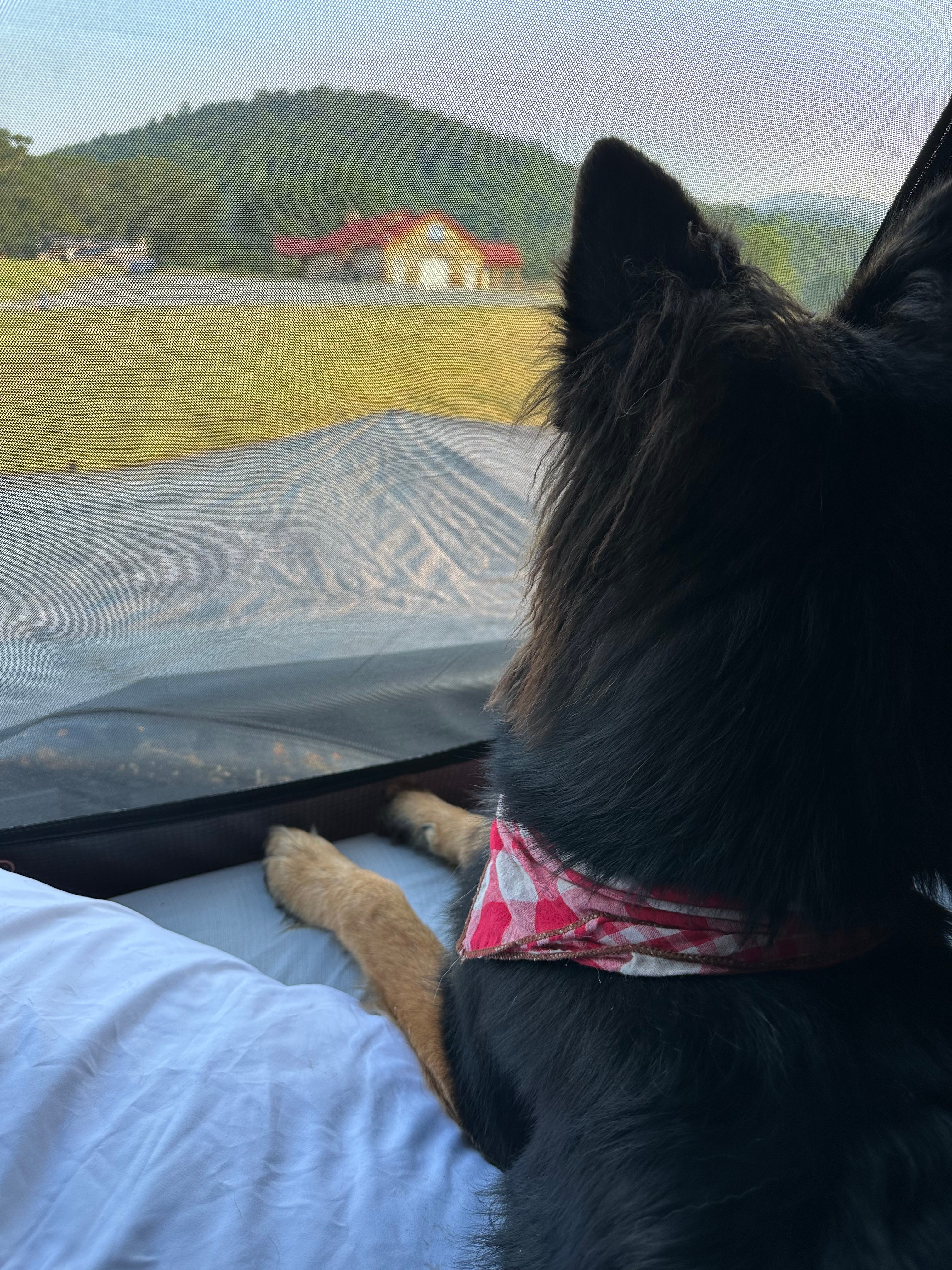 Blue Quartz Winery/Brewery