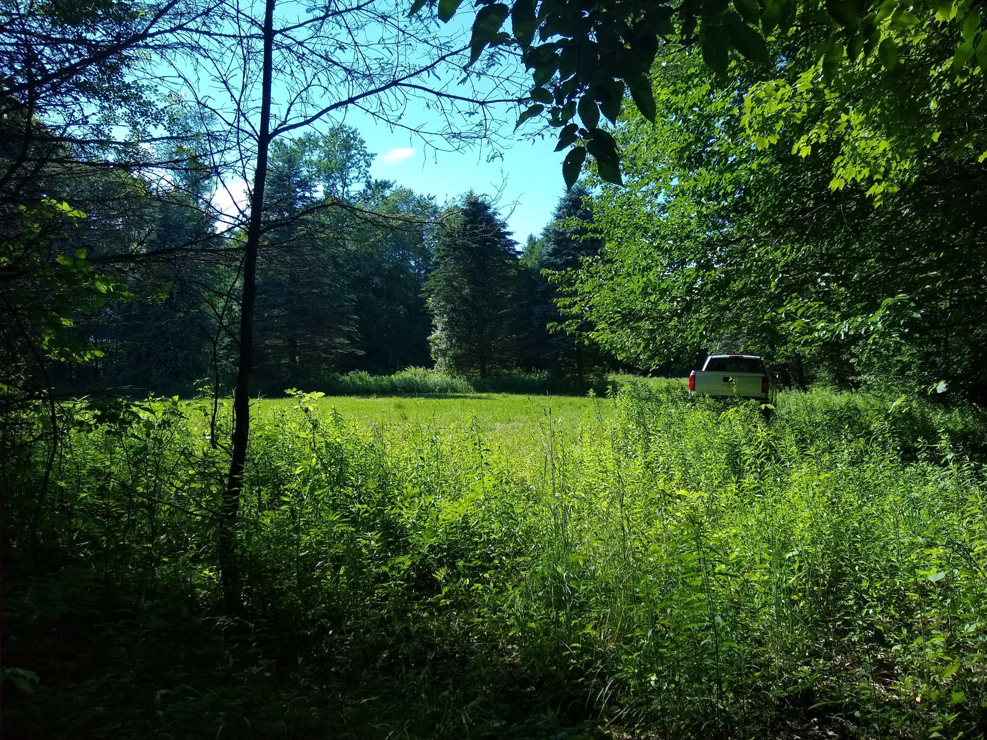 West Canada Creek Farm