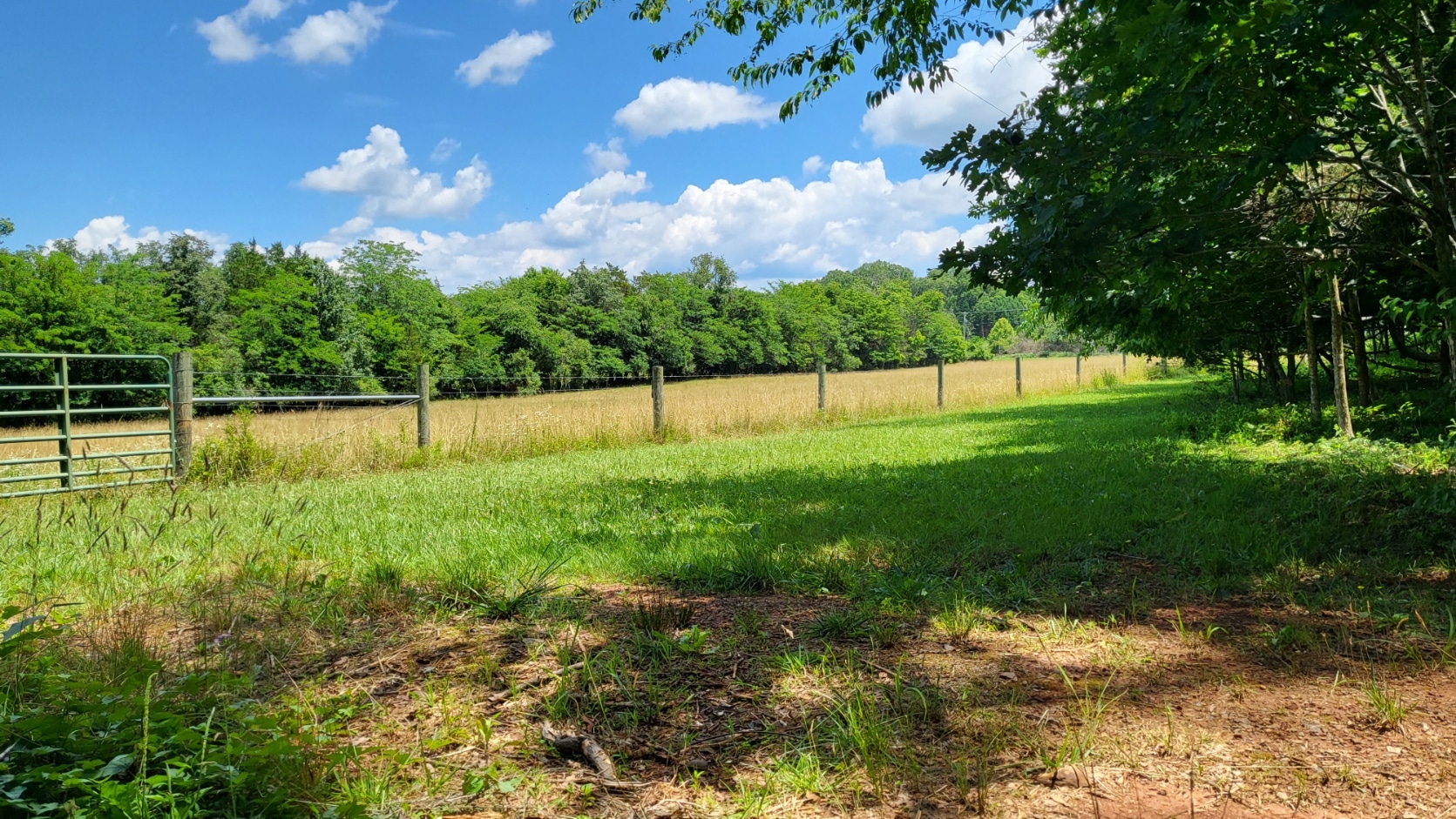 Nealand Farm