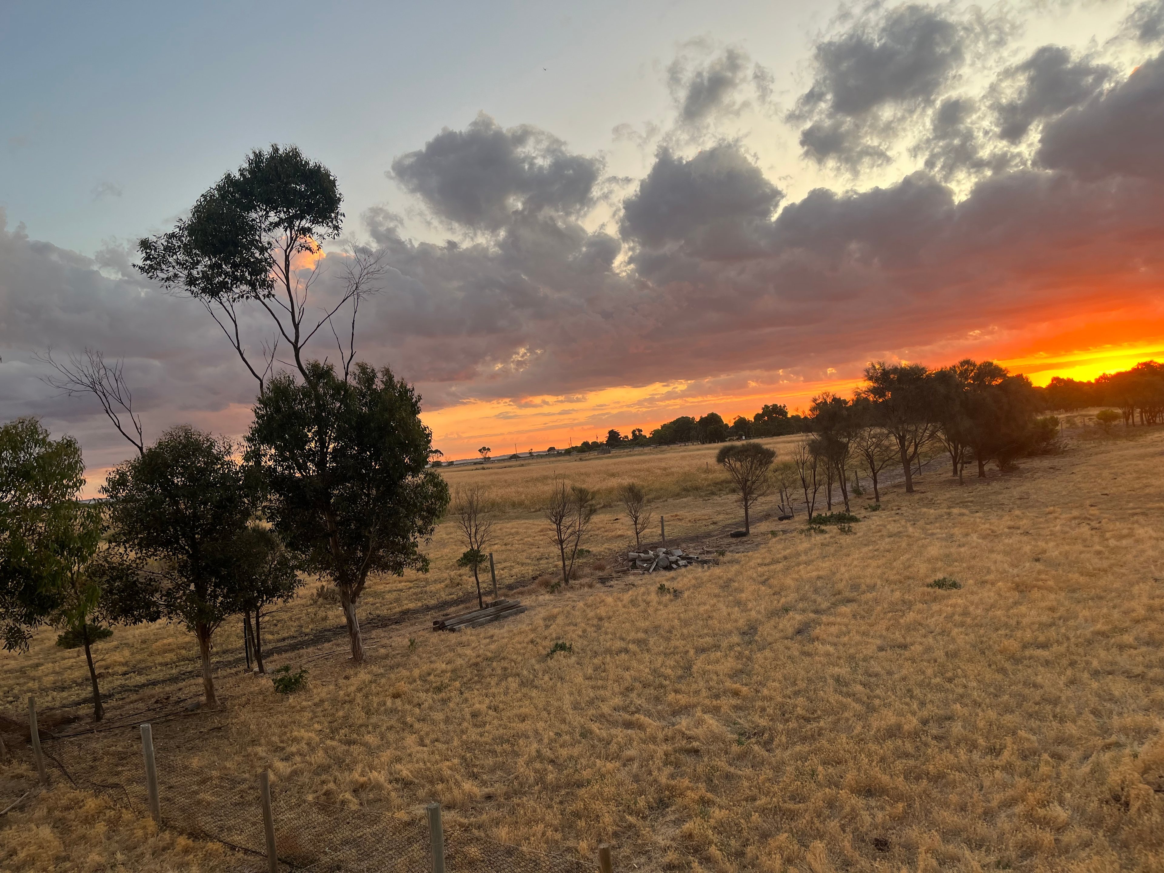 Milang Farm Camp