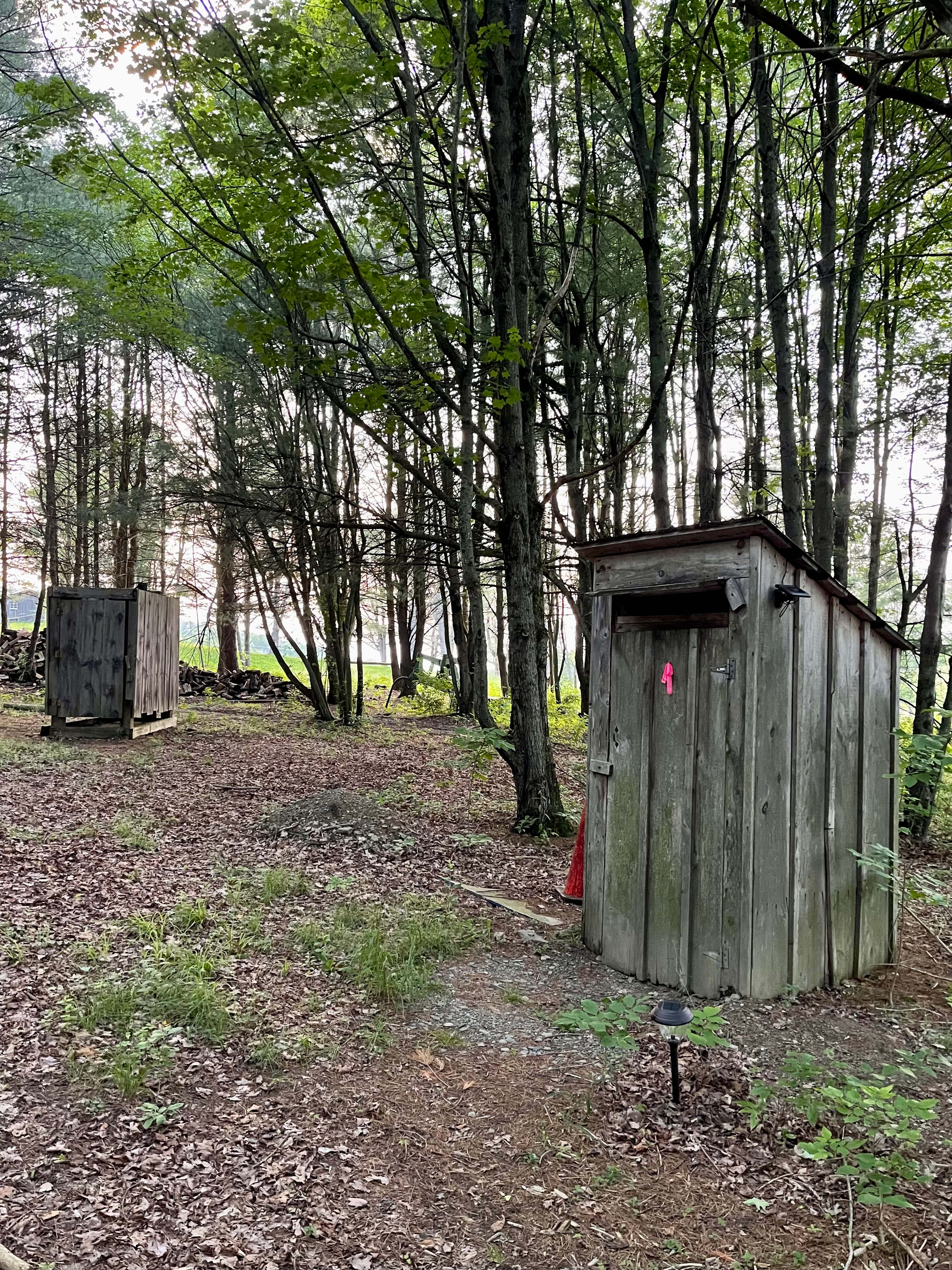Rustic Reins-Off Grid Cabin