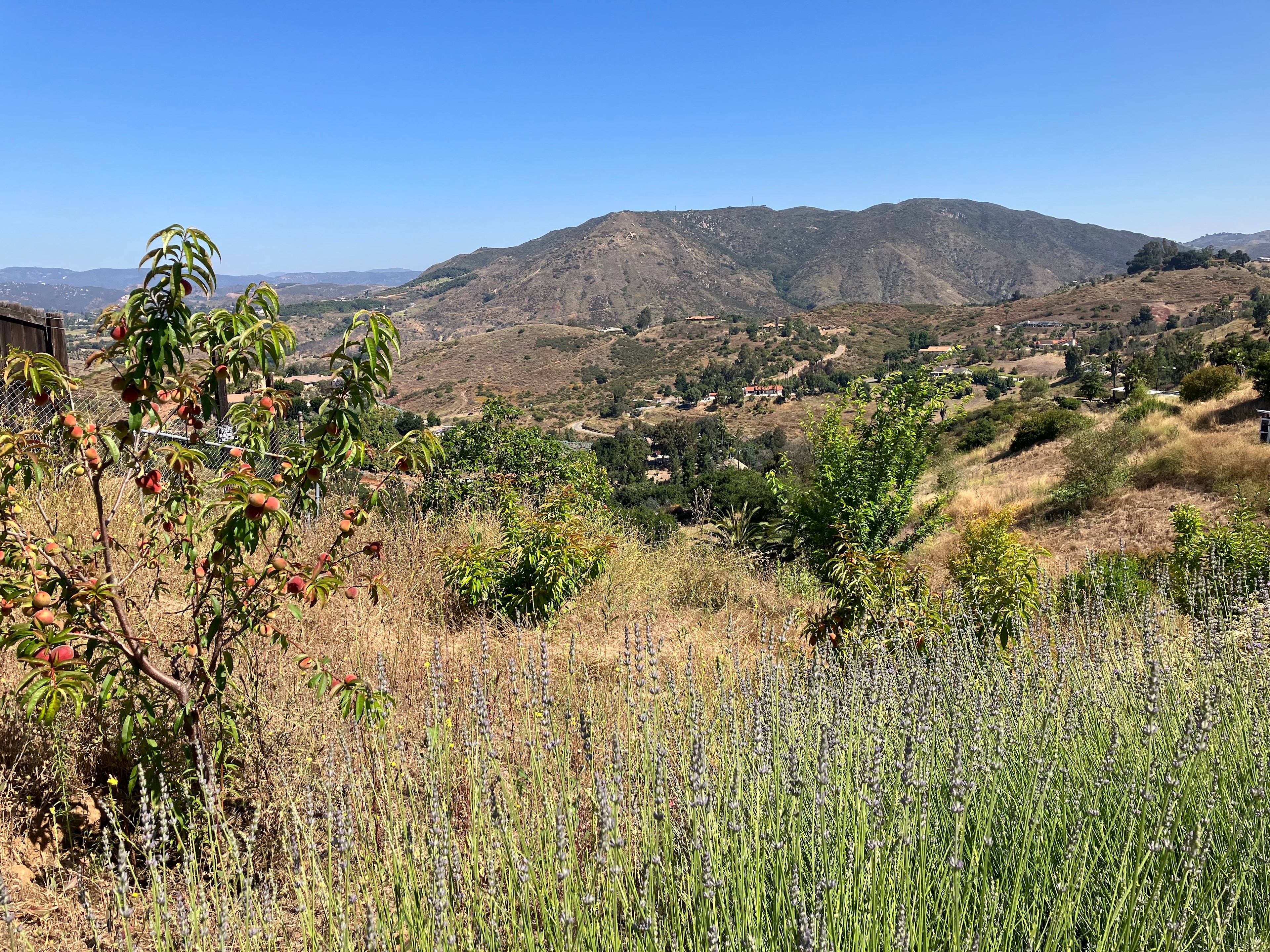 Santa Margarita River Valley Ranch