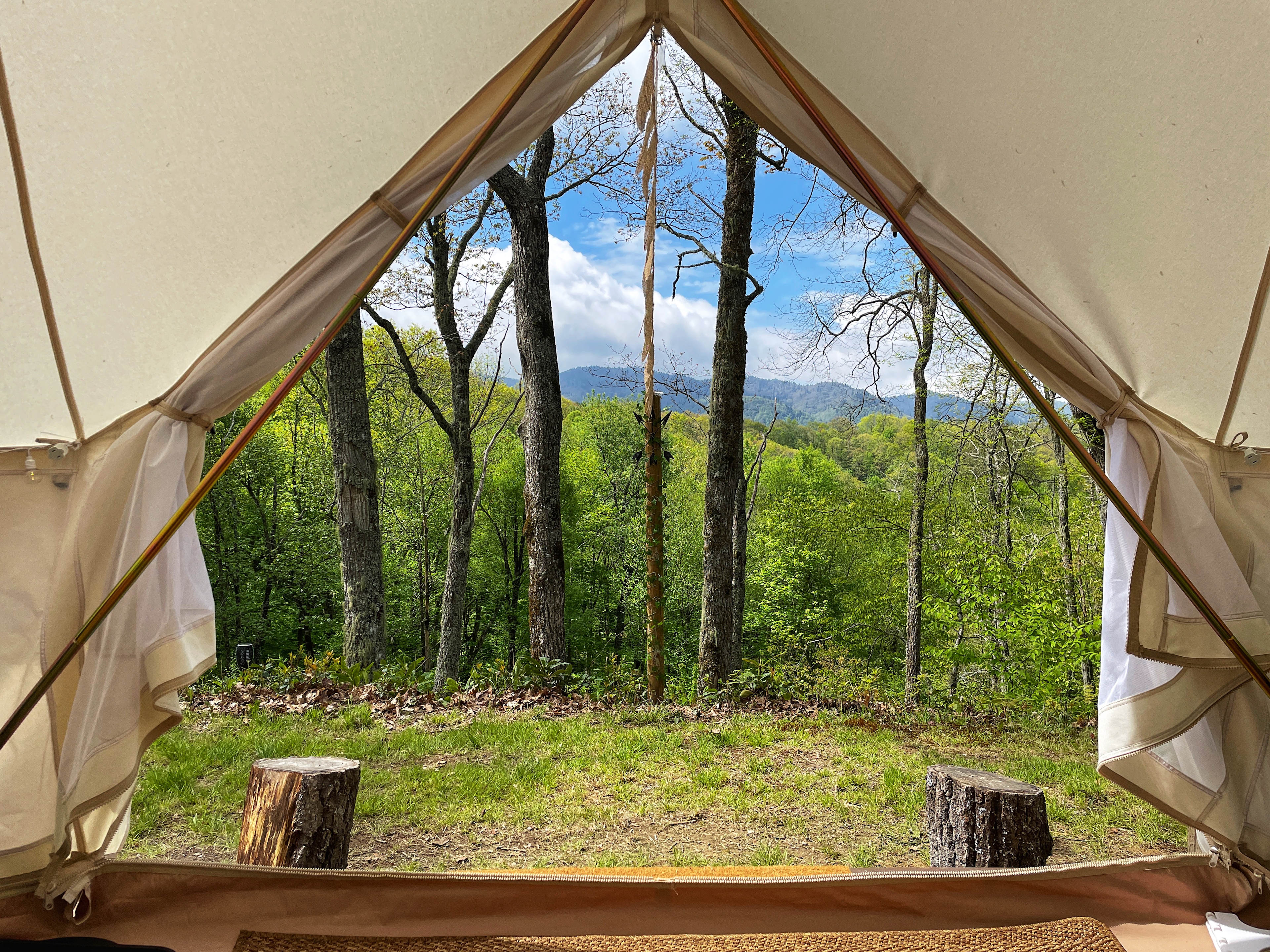 View from the tent