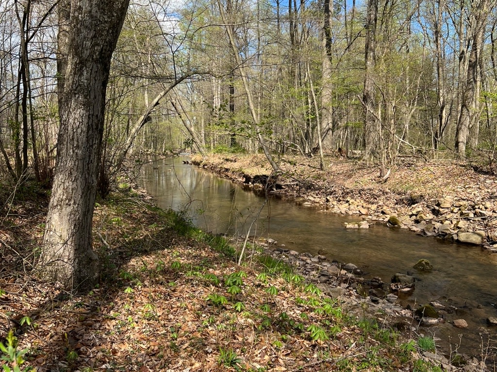 Free Spirit Campground