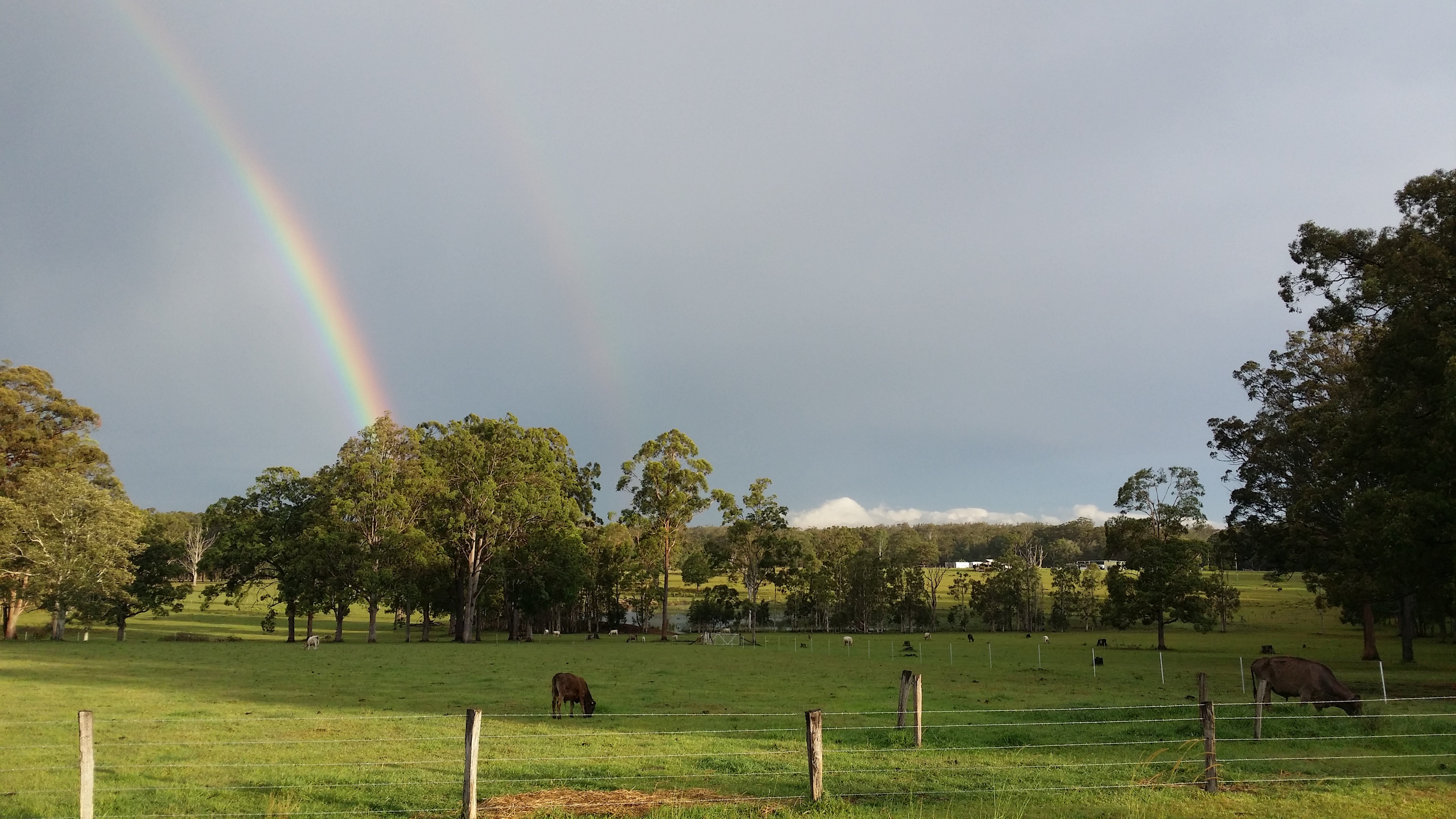 Glencliffe Lea