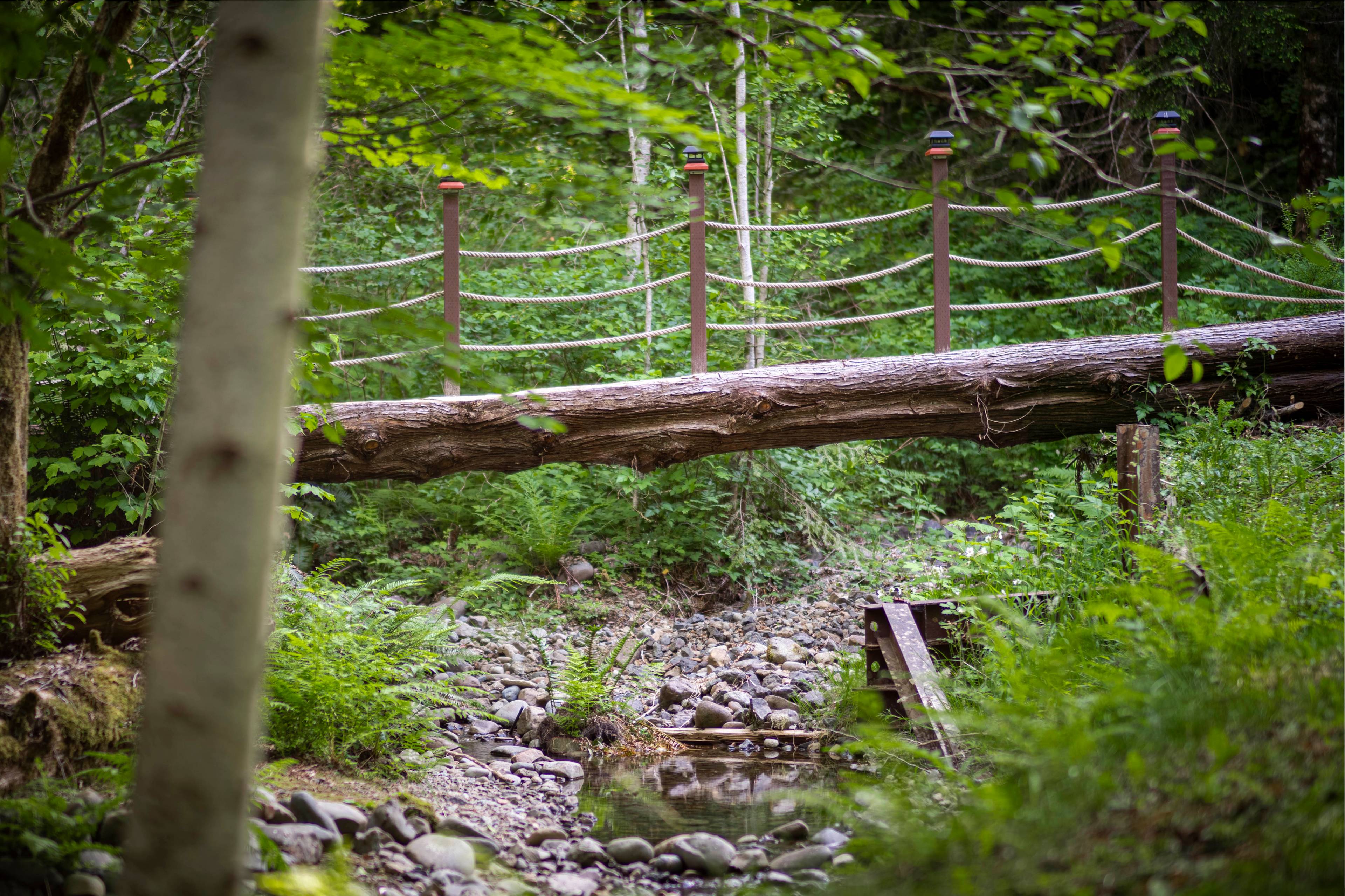 Olympic Wanderer~Creekside~HotTub