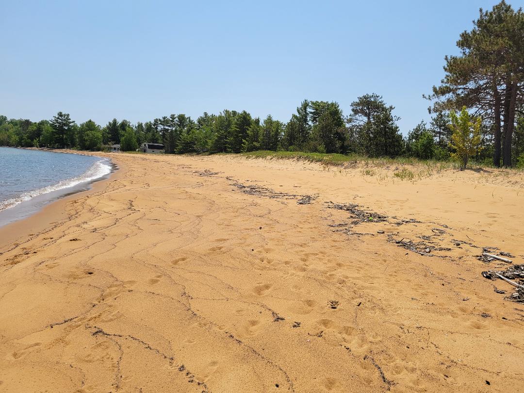 Crowding is not an issue!