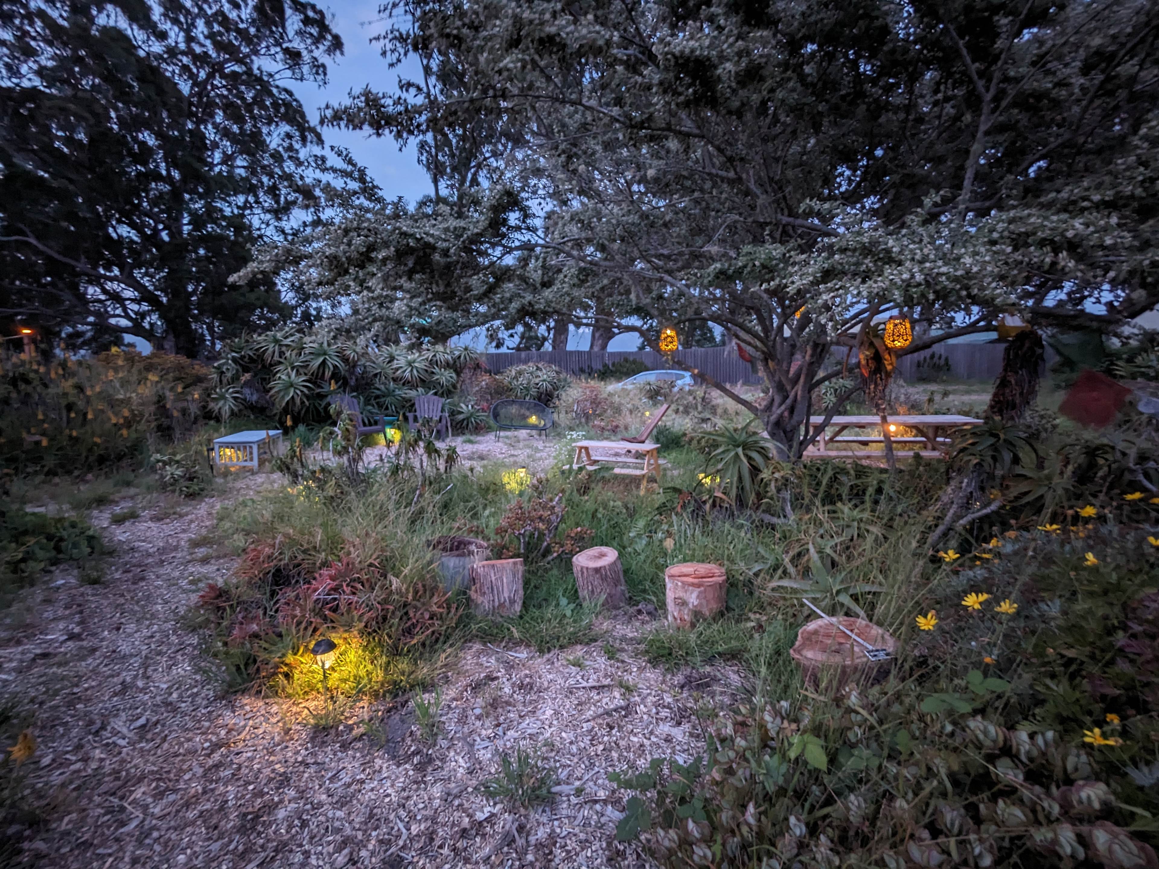 Euphorbia Gardens