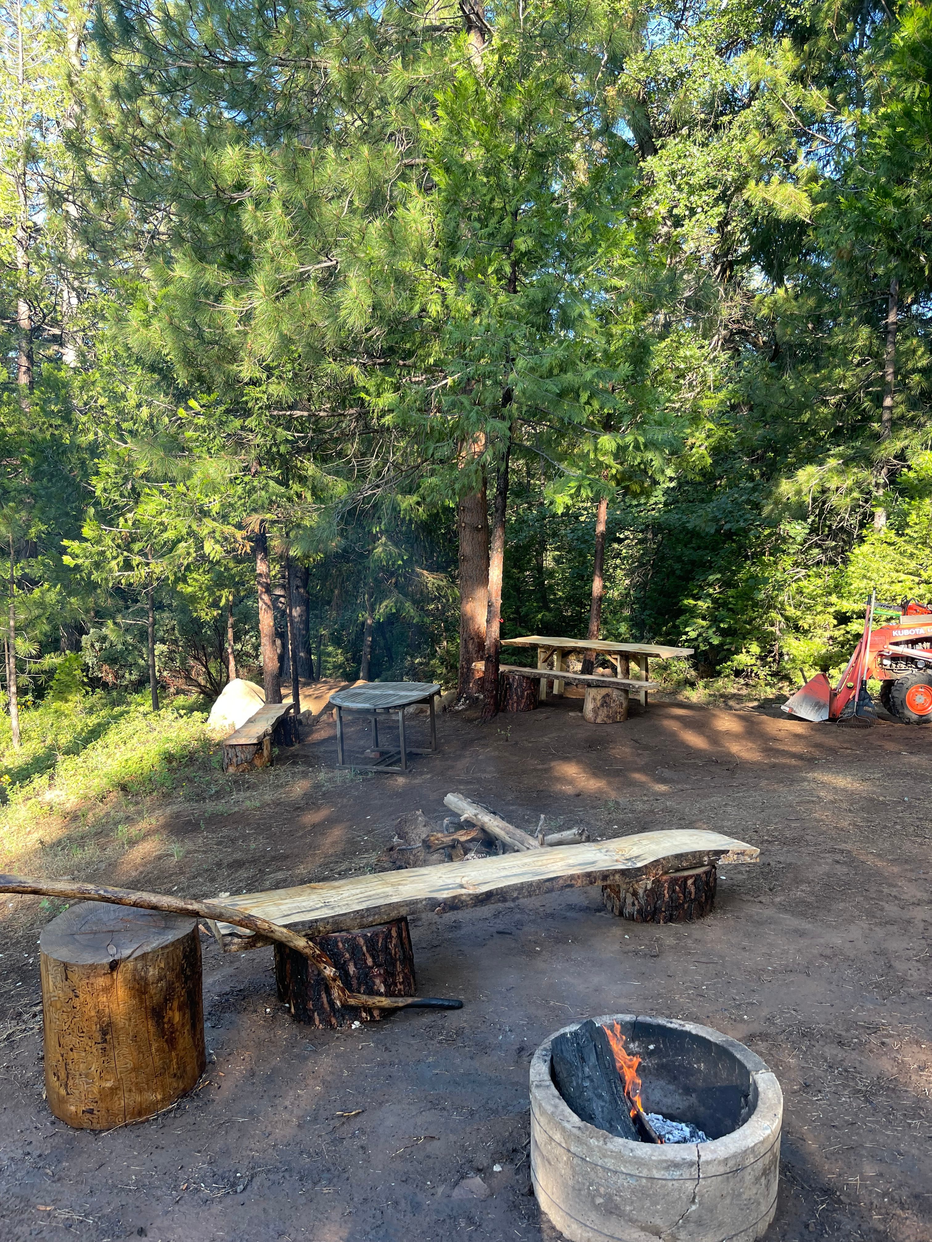 Gold Ridge Forest