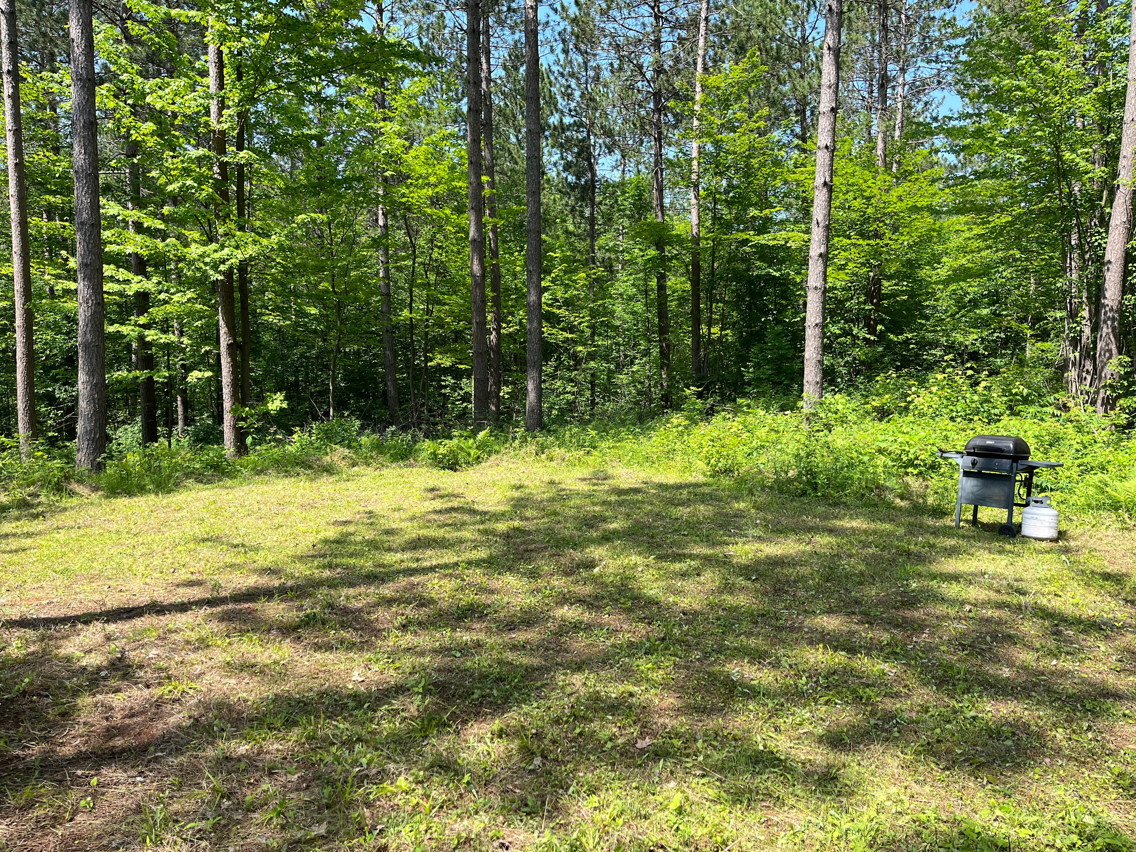 Haugen Road Campground