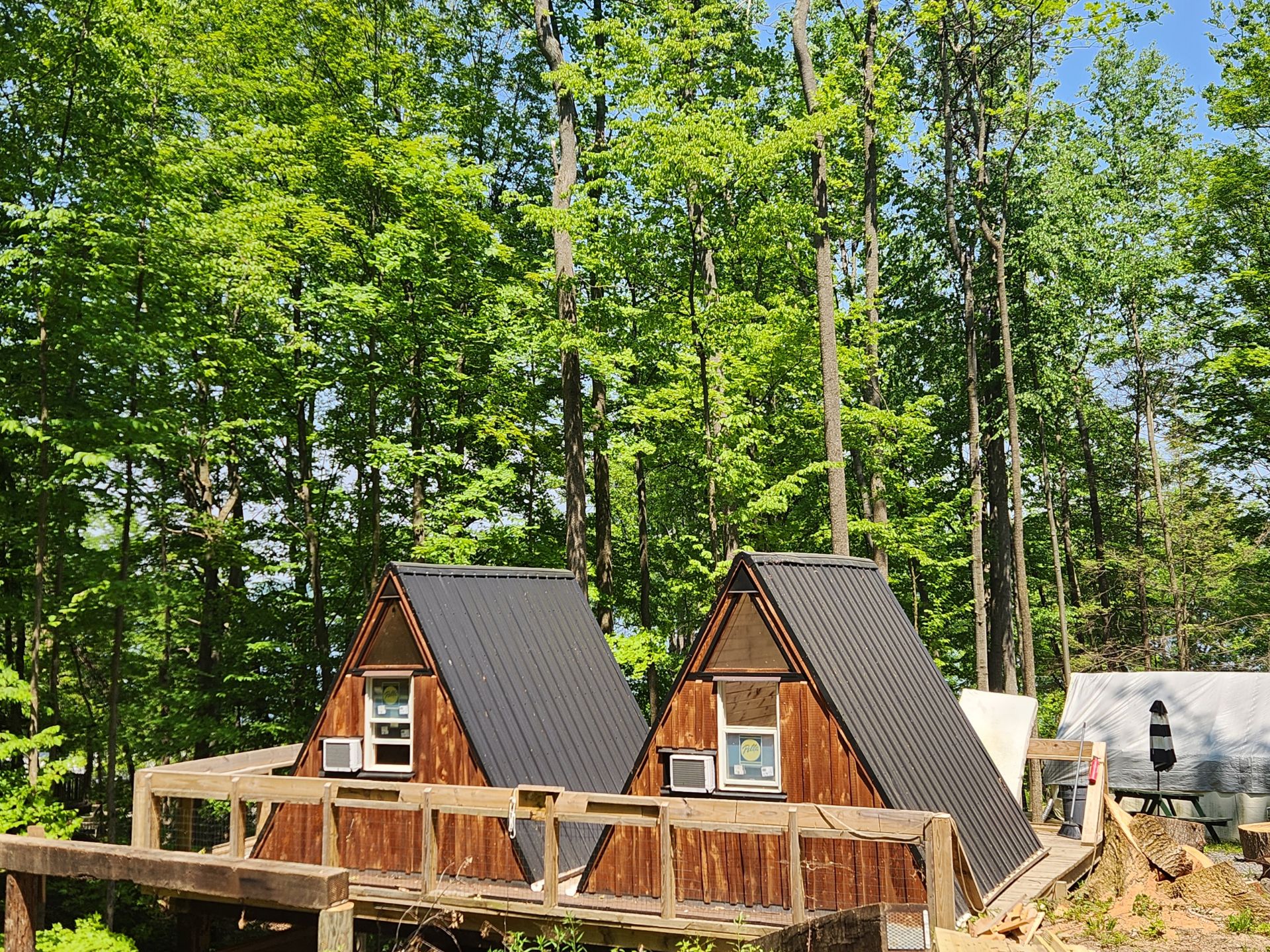 The Spotted Sandpiper