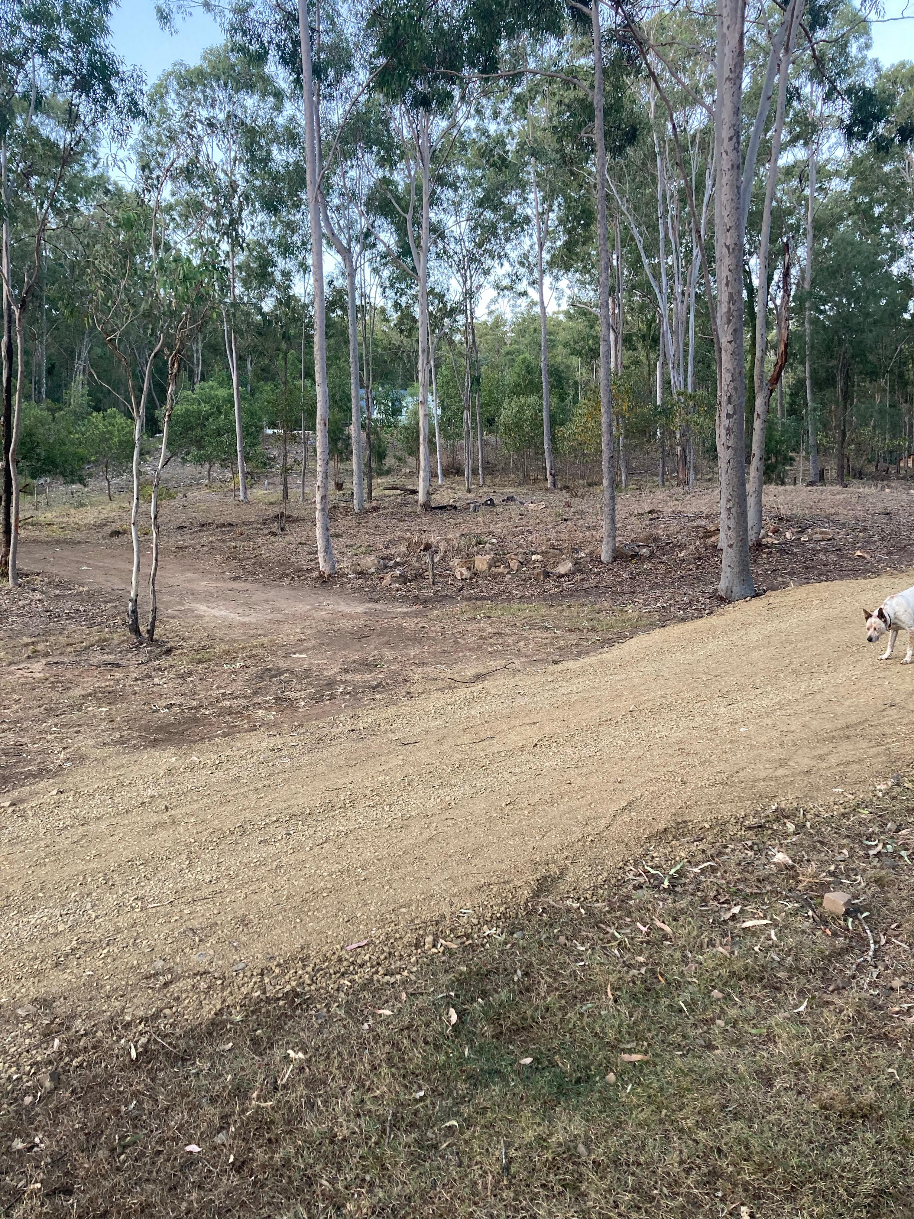 Dragonfly Dam - Moogerah