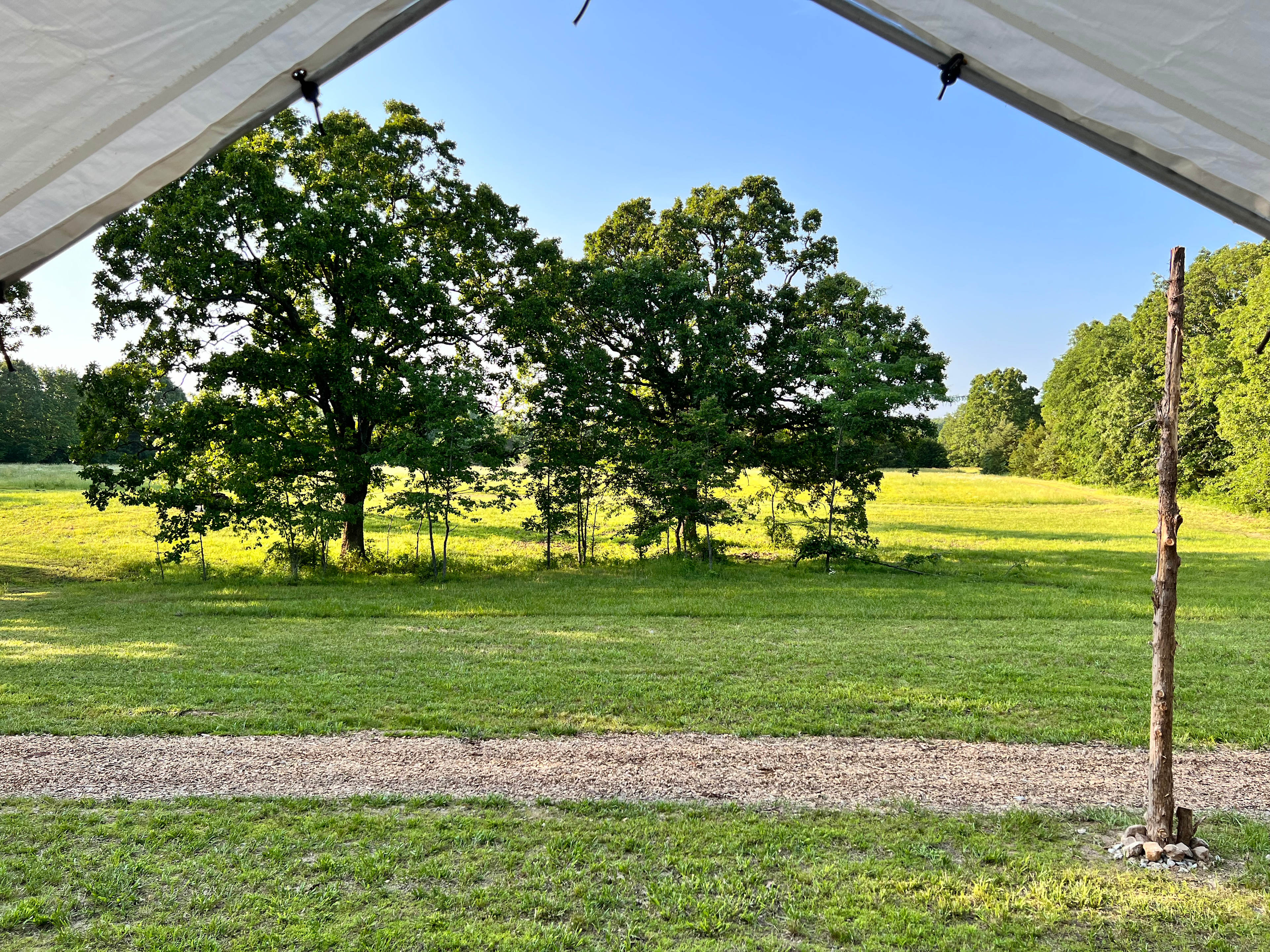 A view out of one of the tents