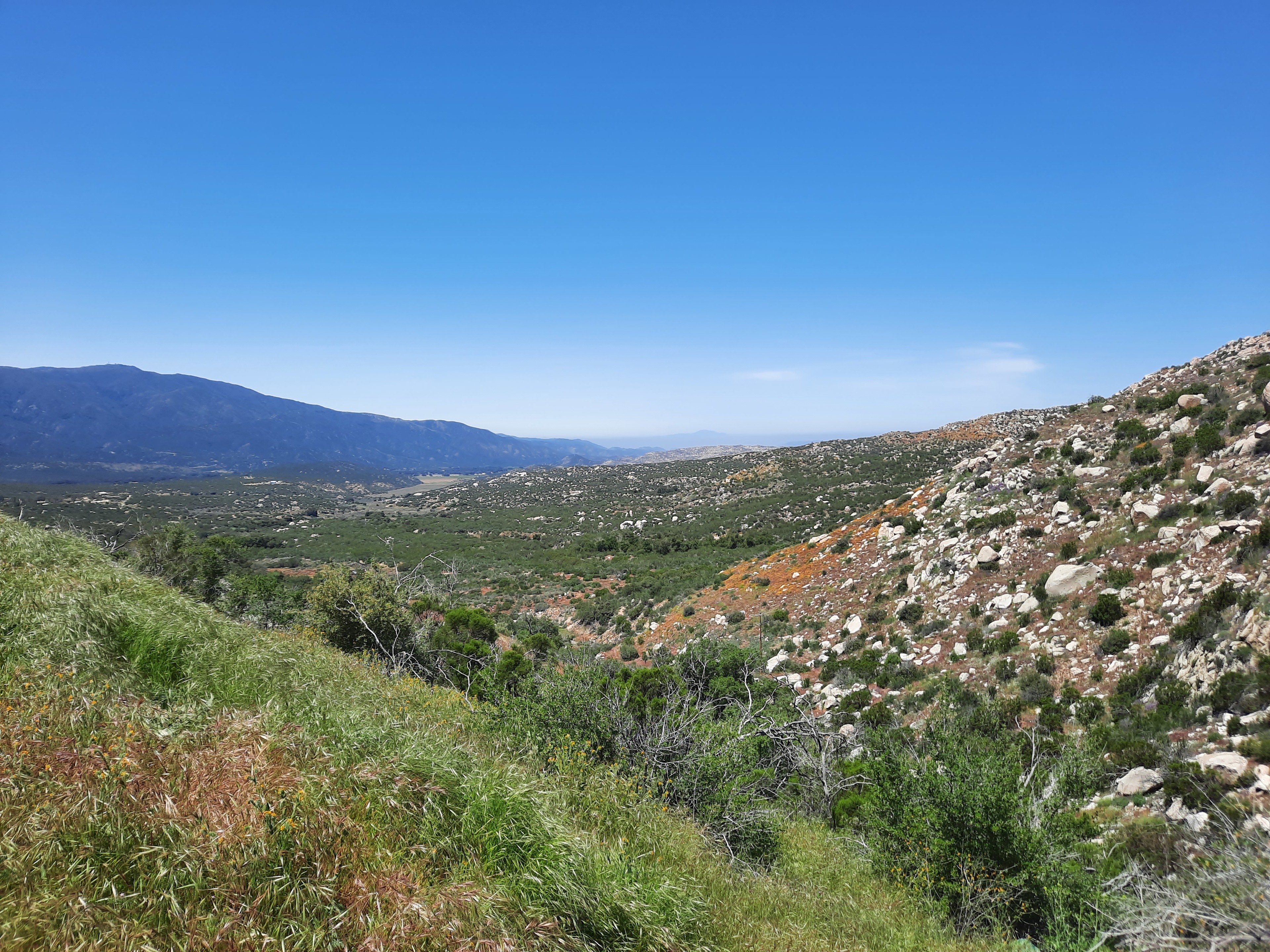 Temecula seems a world away 