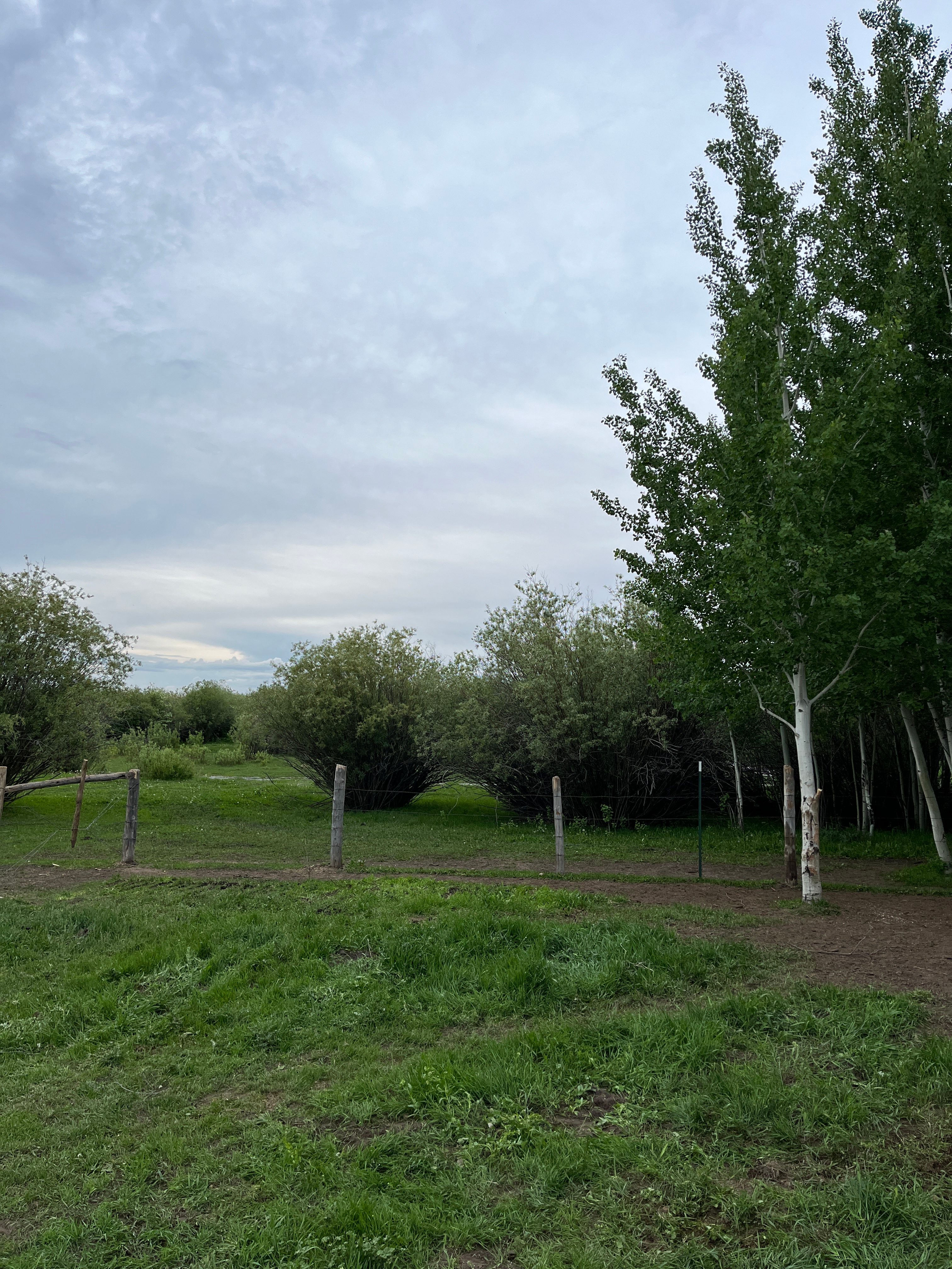 Buffalo Springs Campsite