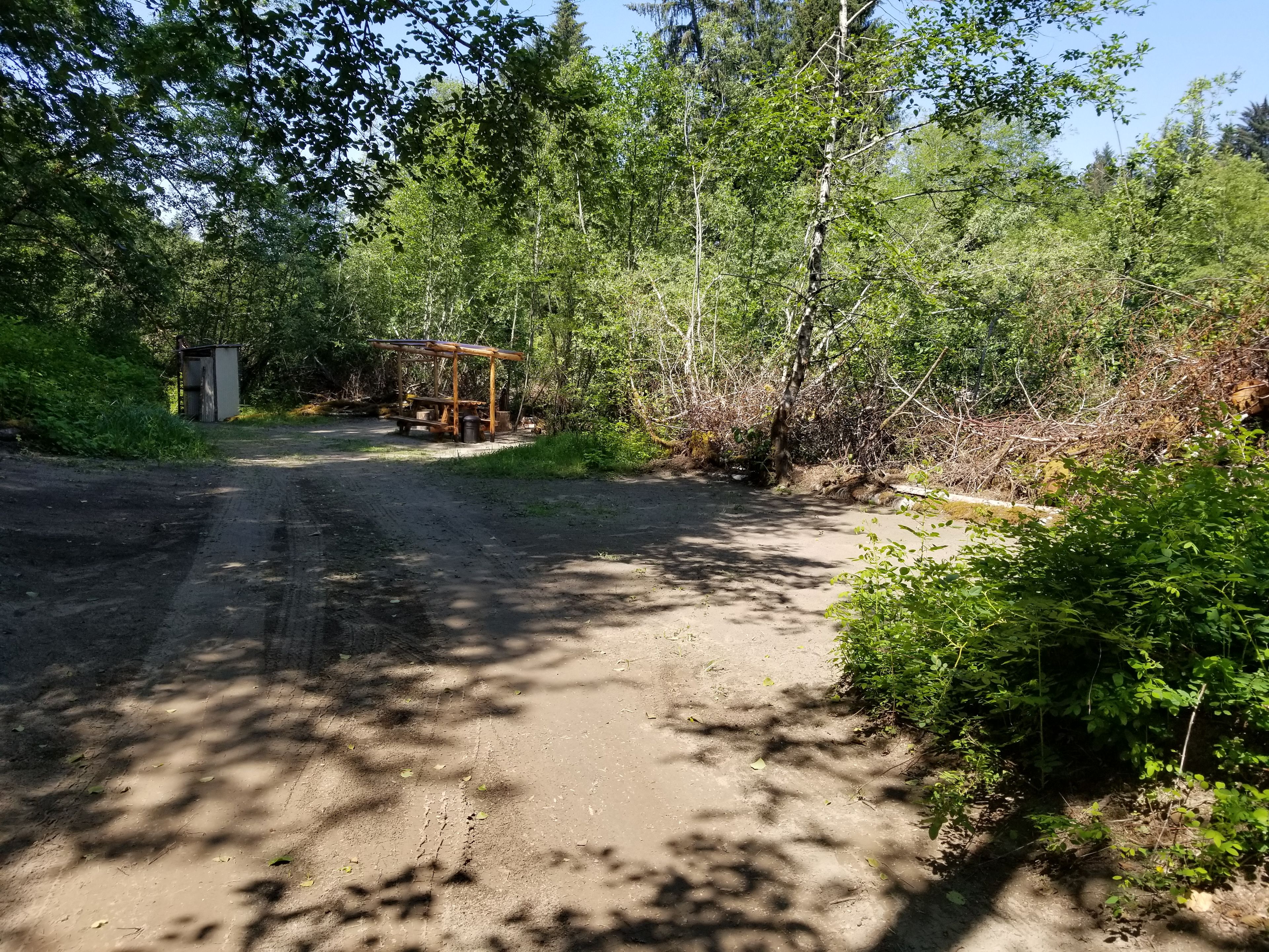 Bogachiel Upriver Campsites