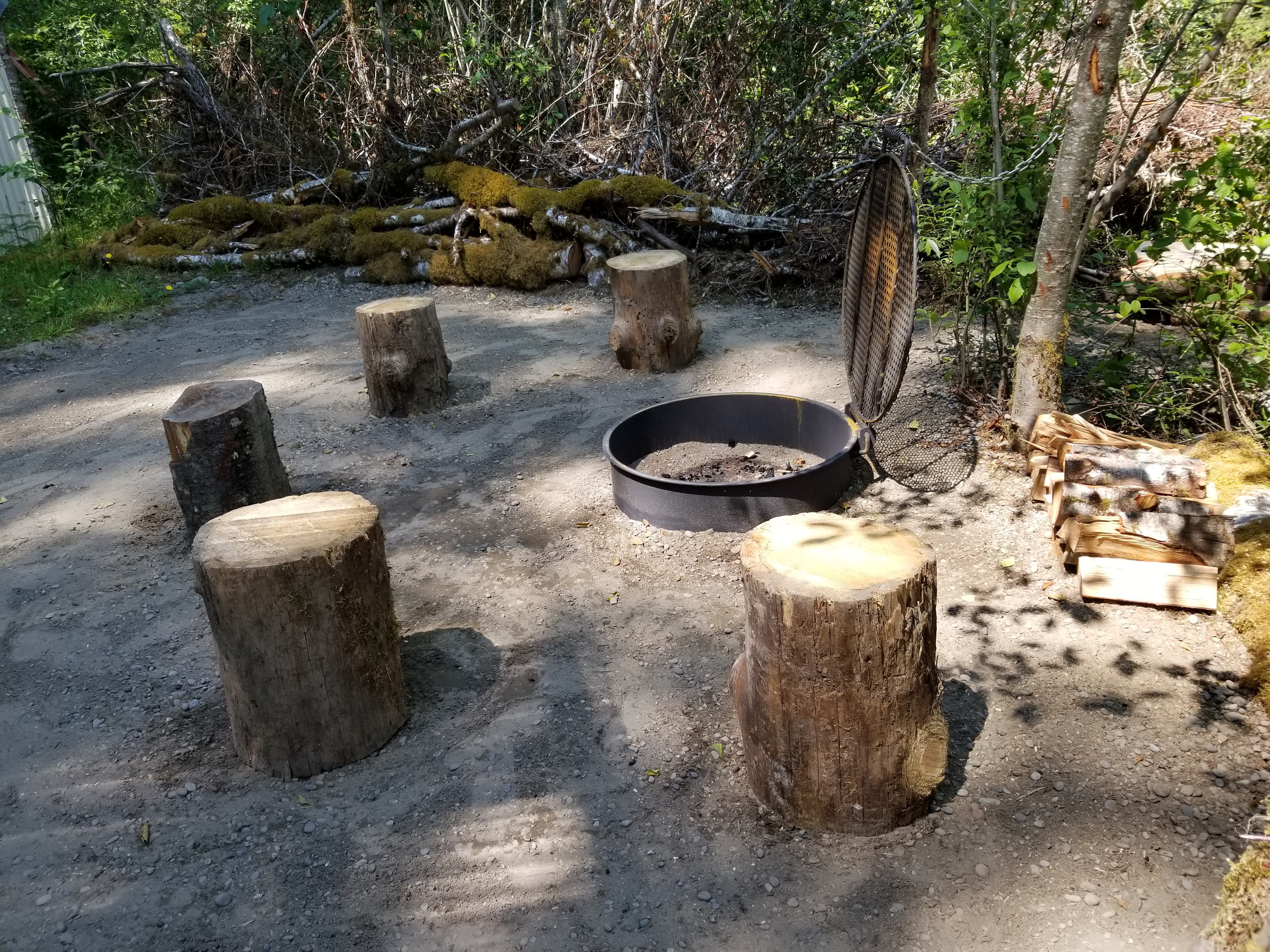Bogachiel Upriver Campsites