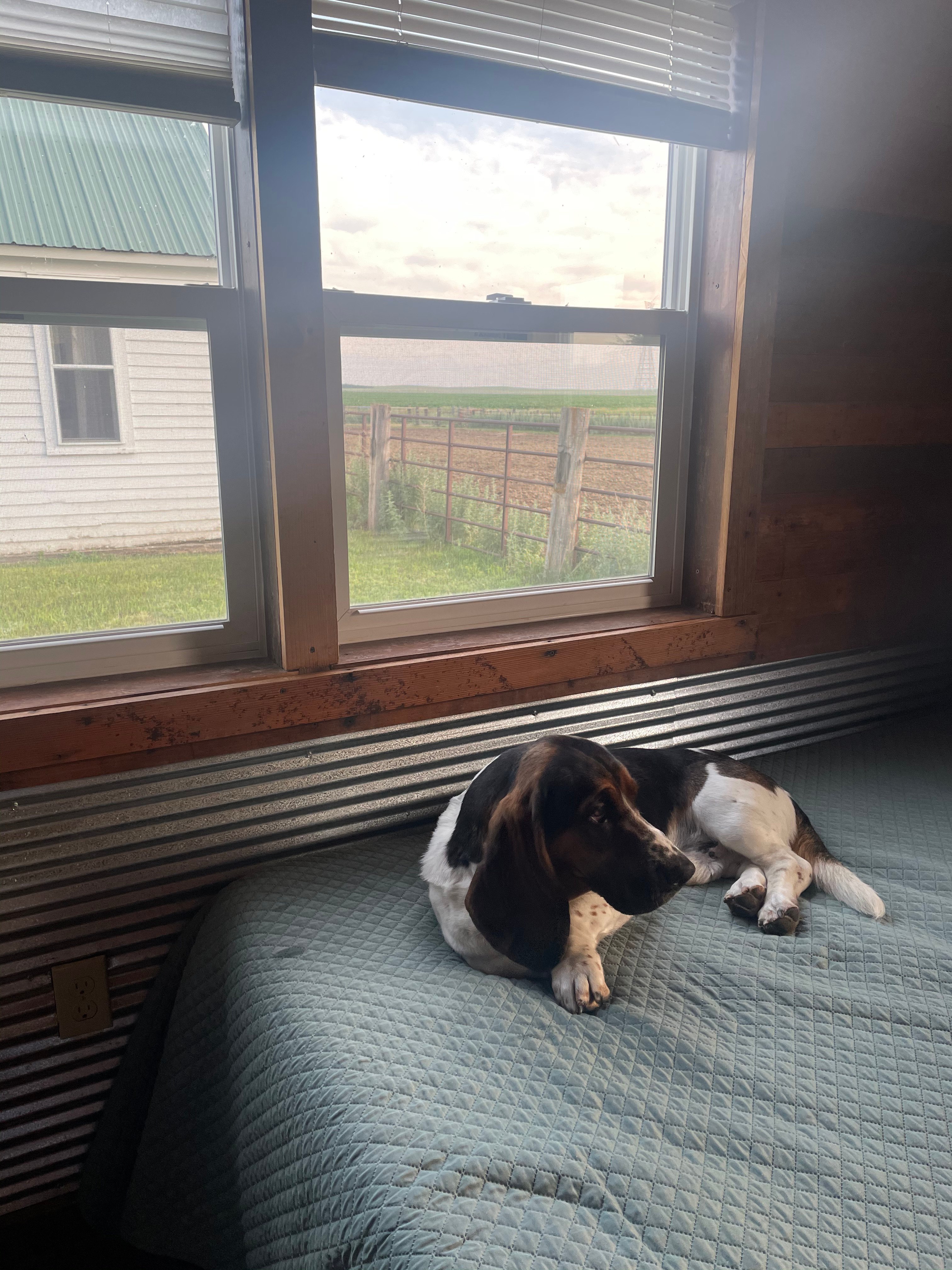 Diamond A Cattle Ranch