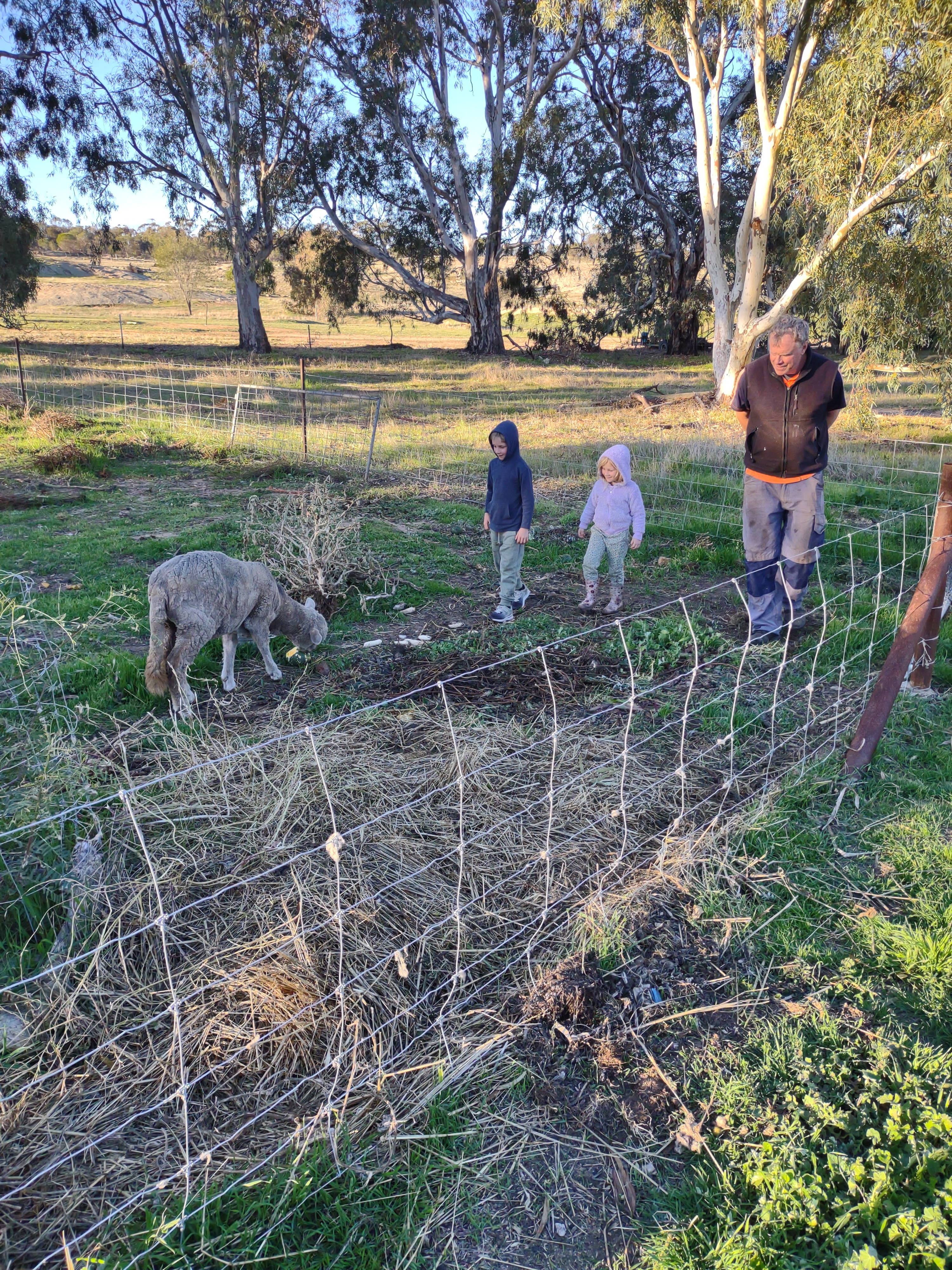 Qualin Farm bush camp
