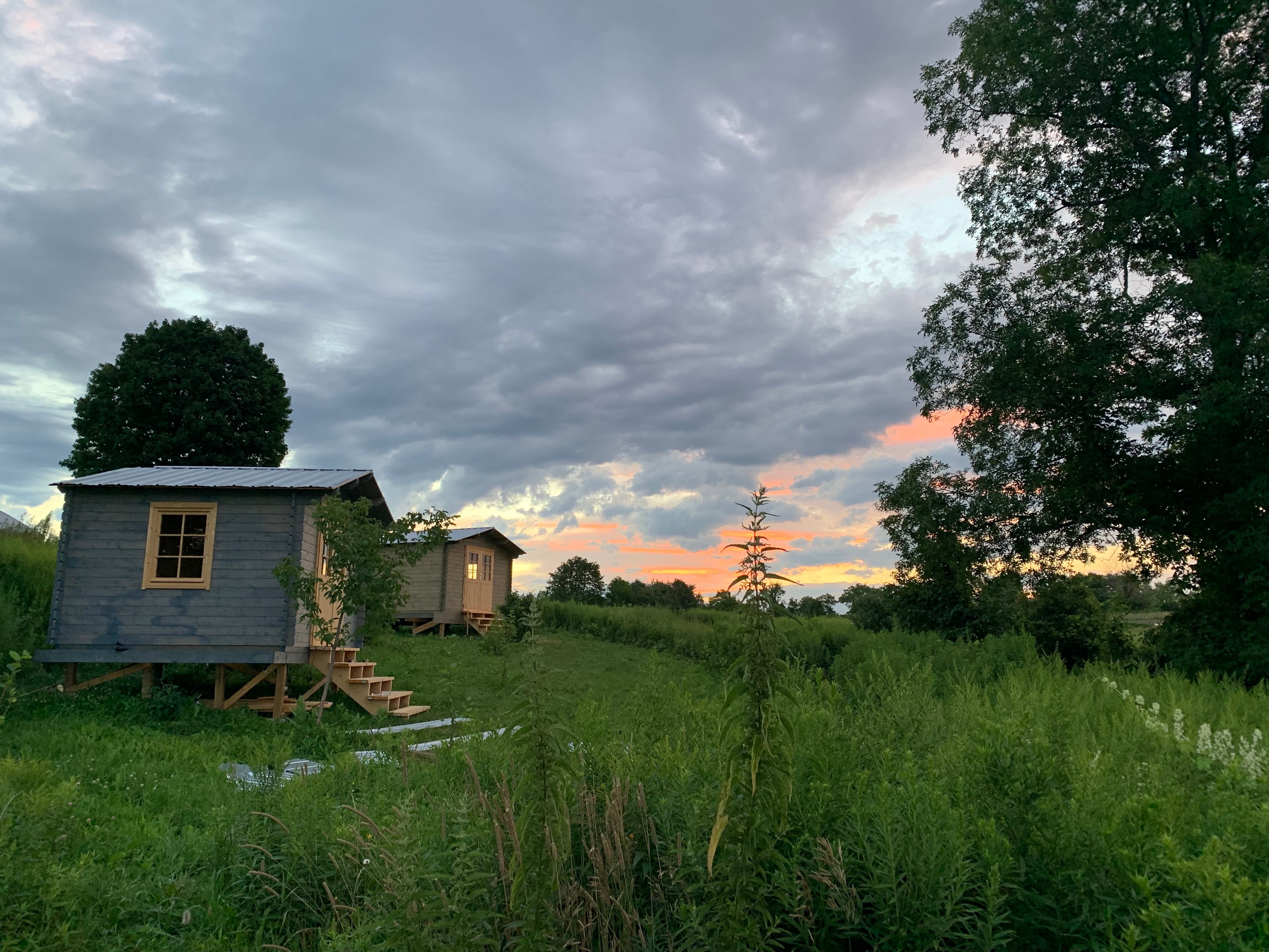 Foragers Farms Regenerative Cabins