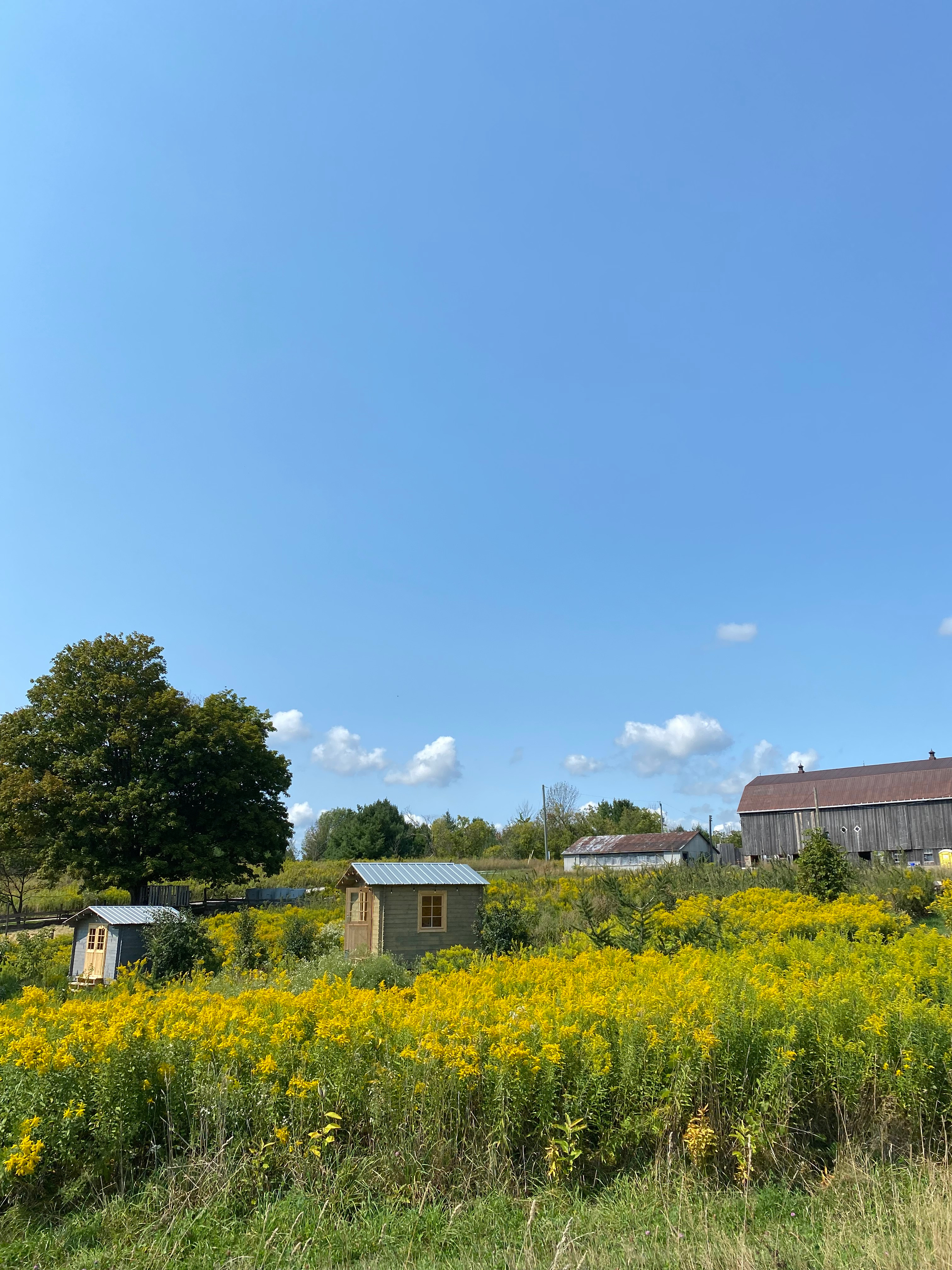 Foragers Farms Regenerative Cabins