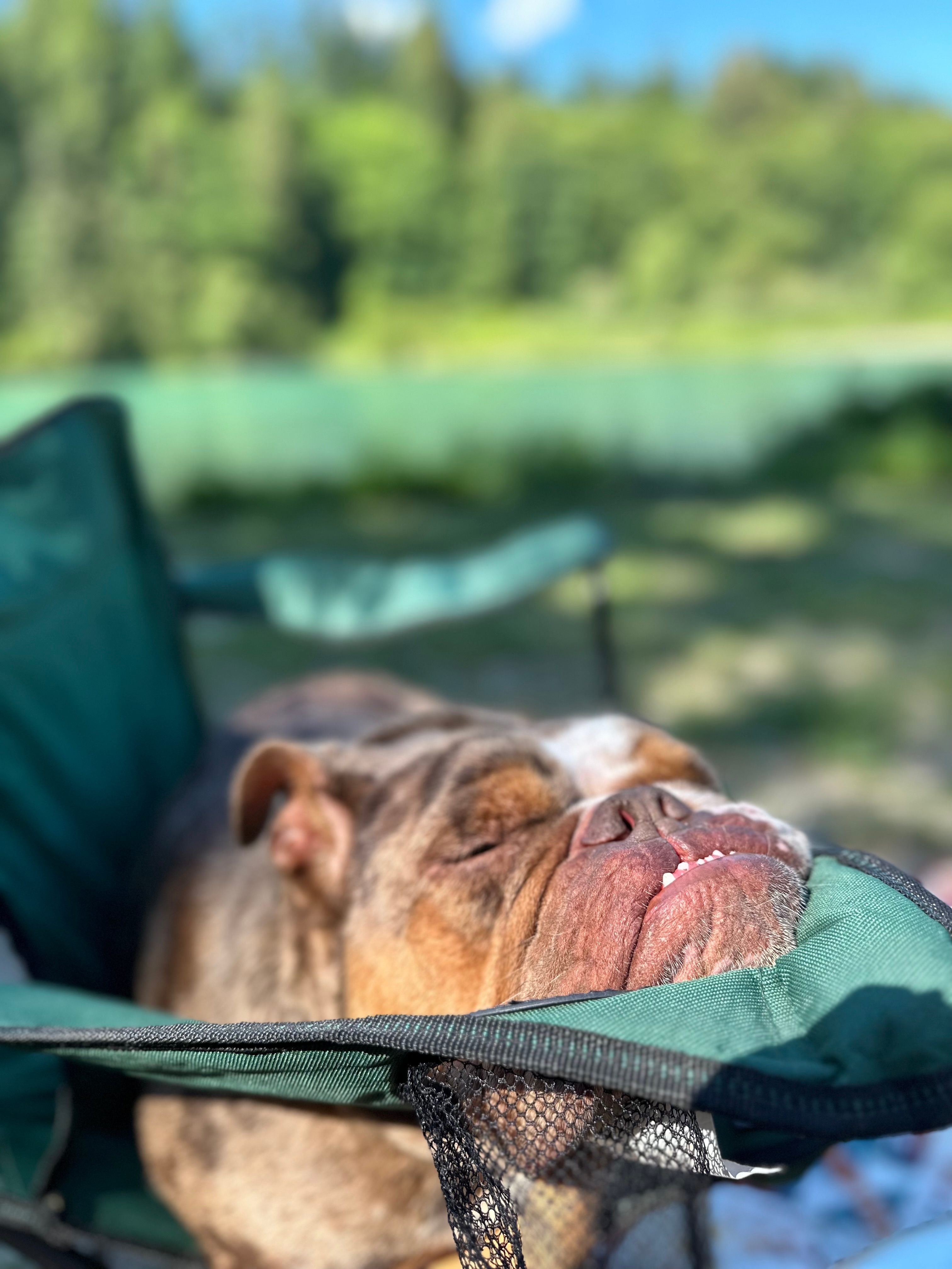 Eden East Skagit River