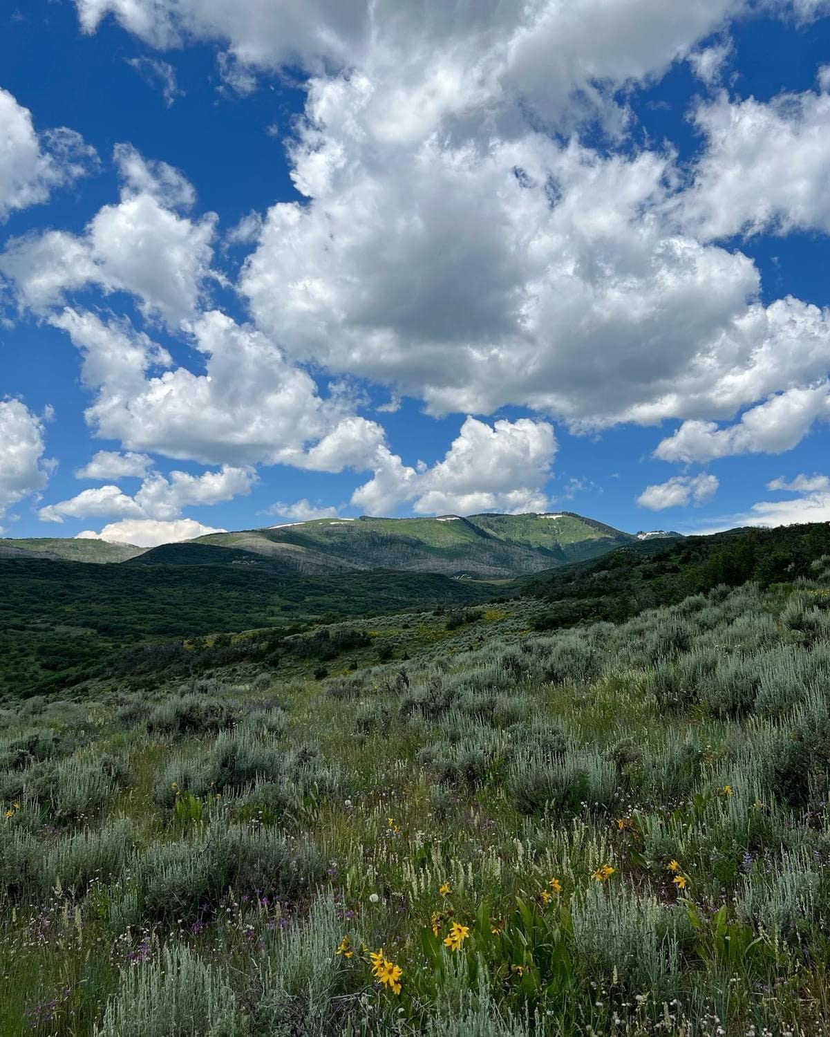 Welcome to beautiful Collbran Colorado! 