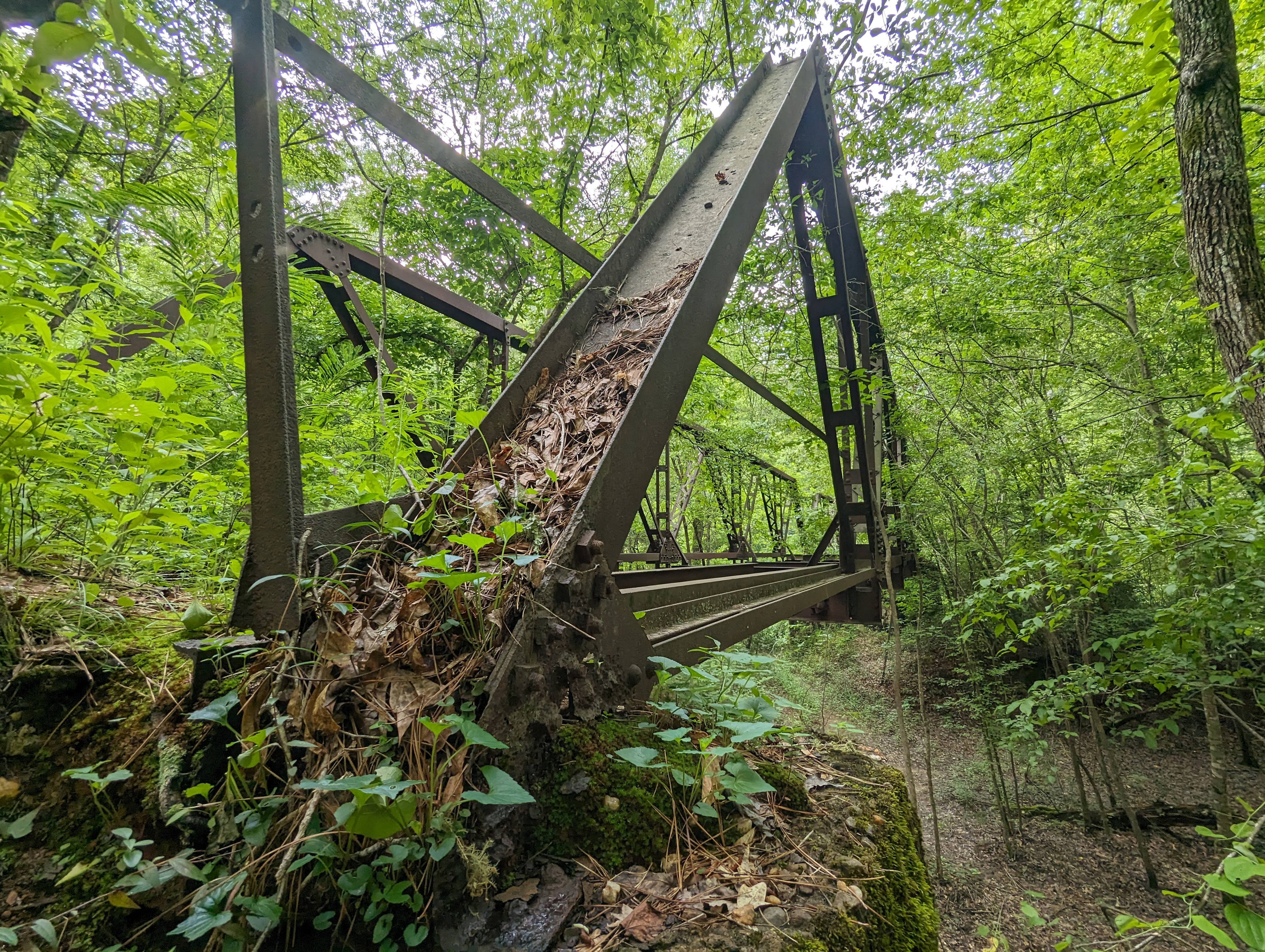 The Tallapoosa Hideaway: Wilderness Retreat