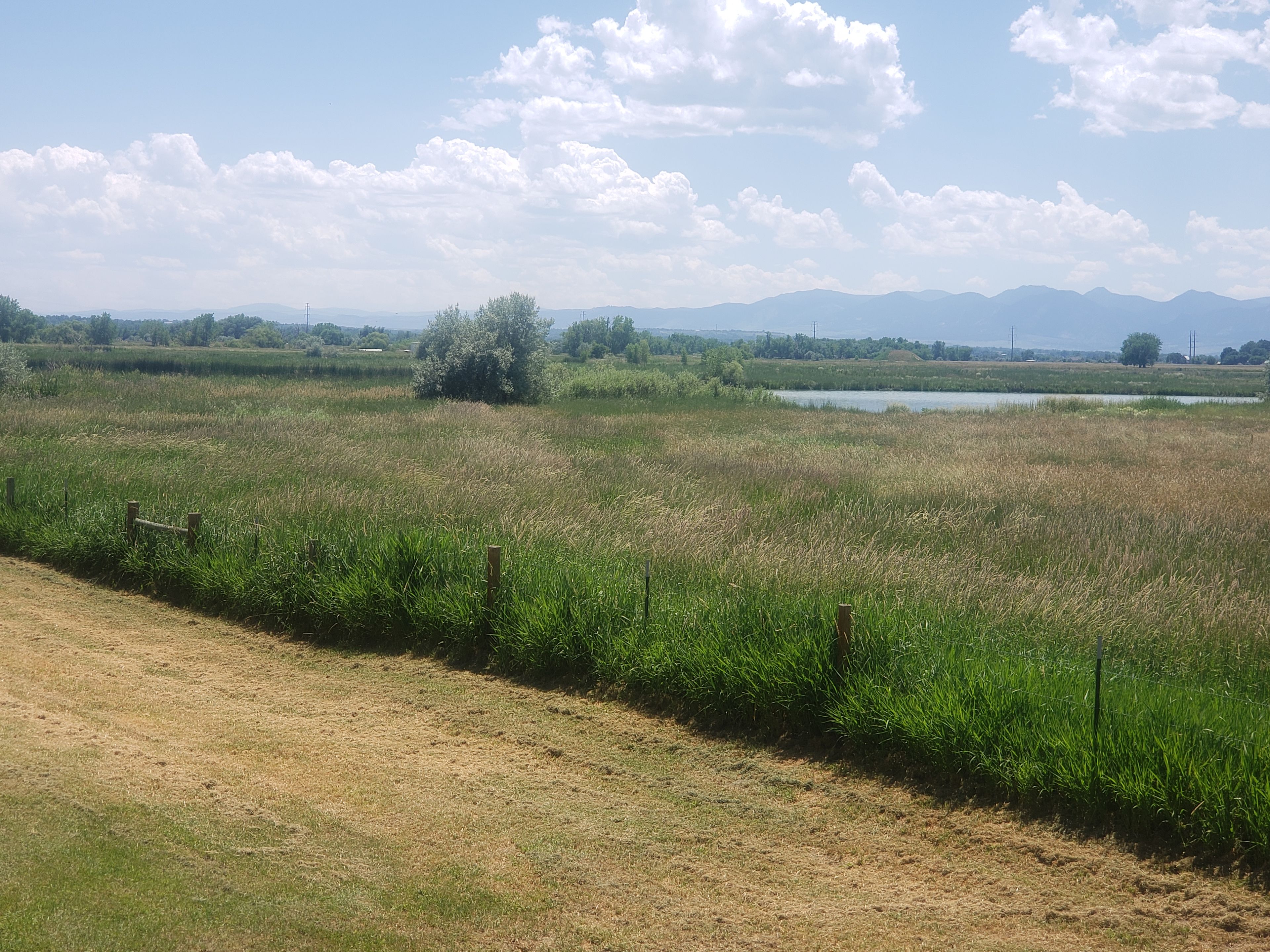 Blue Heron Ranch/ Rv camping