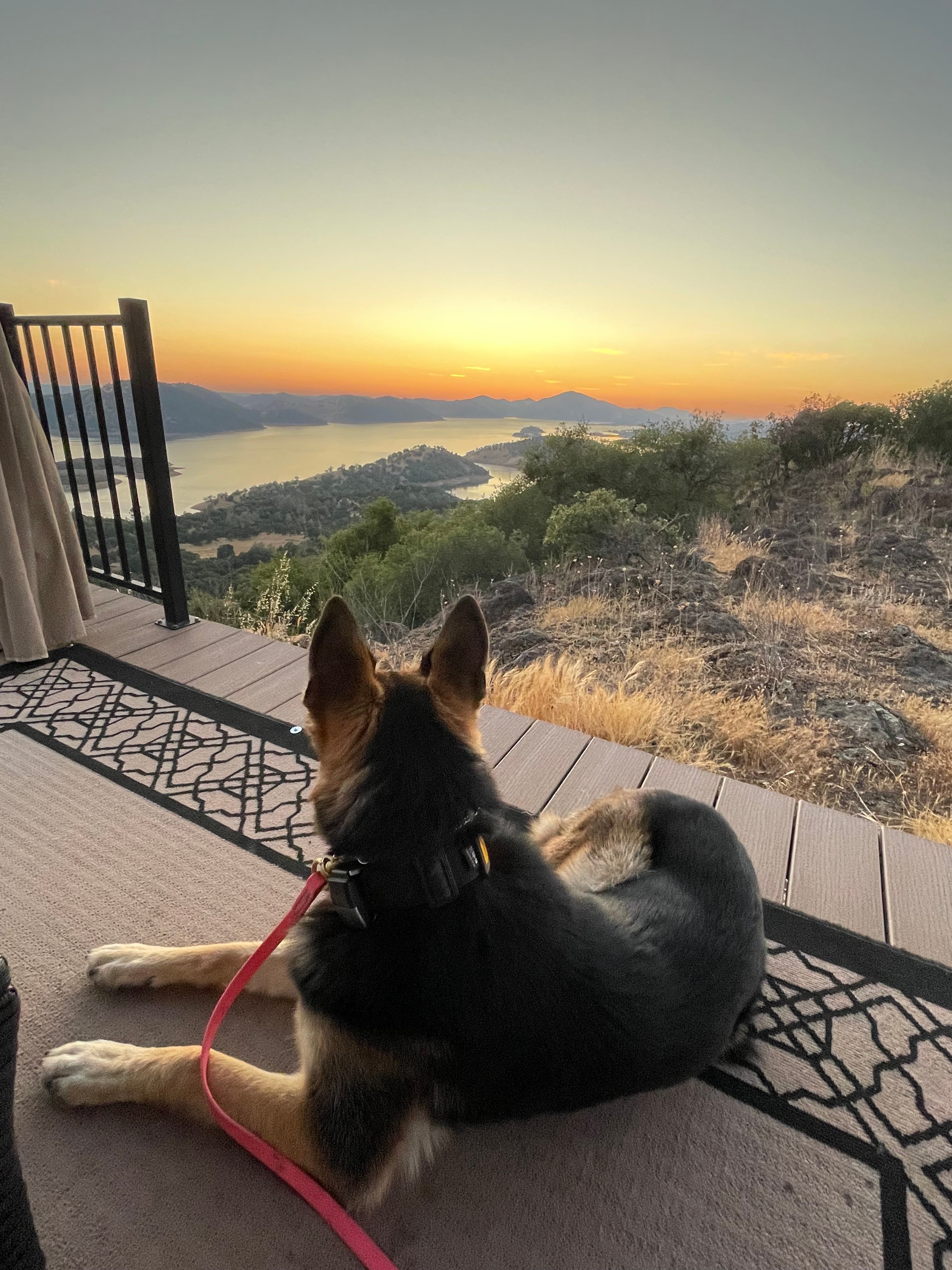 Gold Wall Ranch & Vineyard