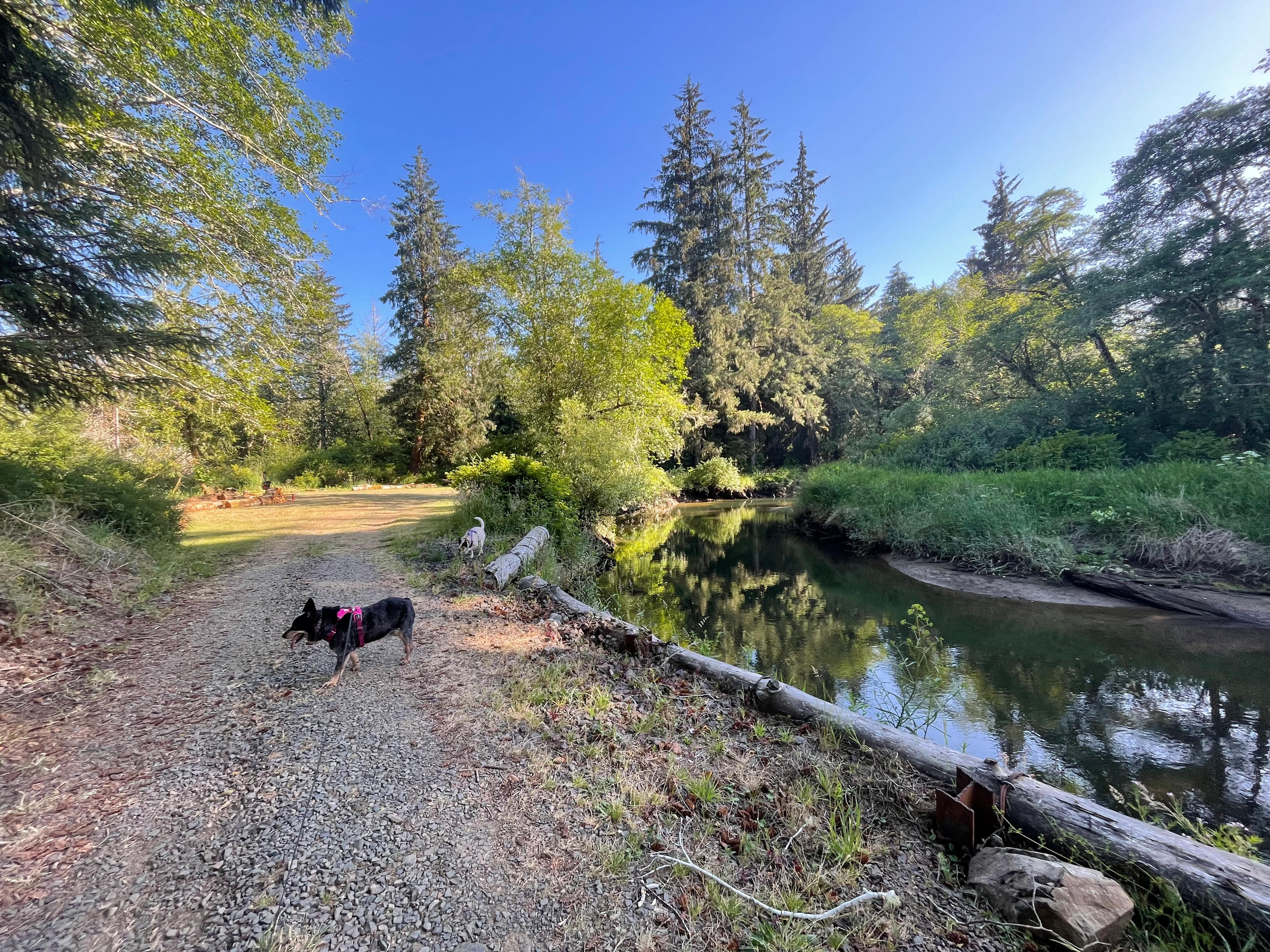 Williams Park campground