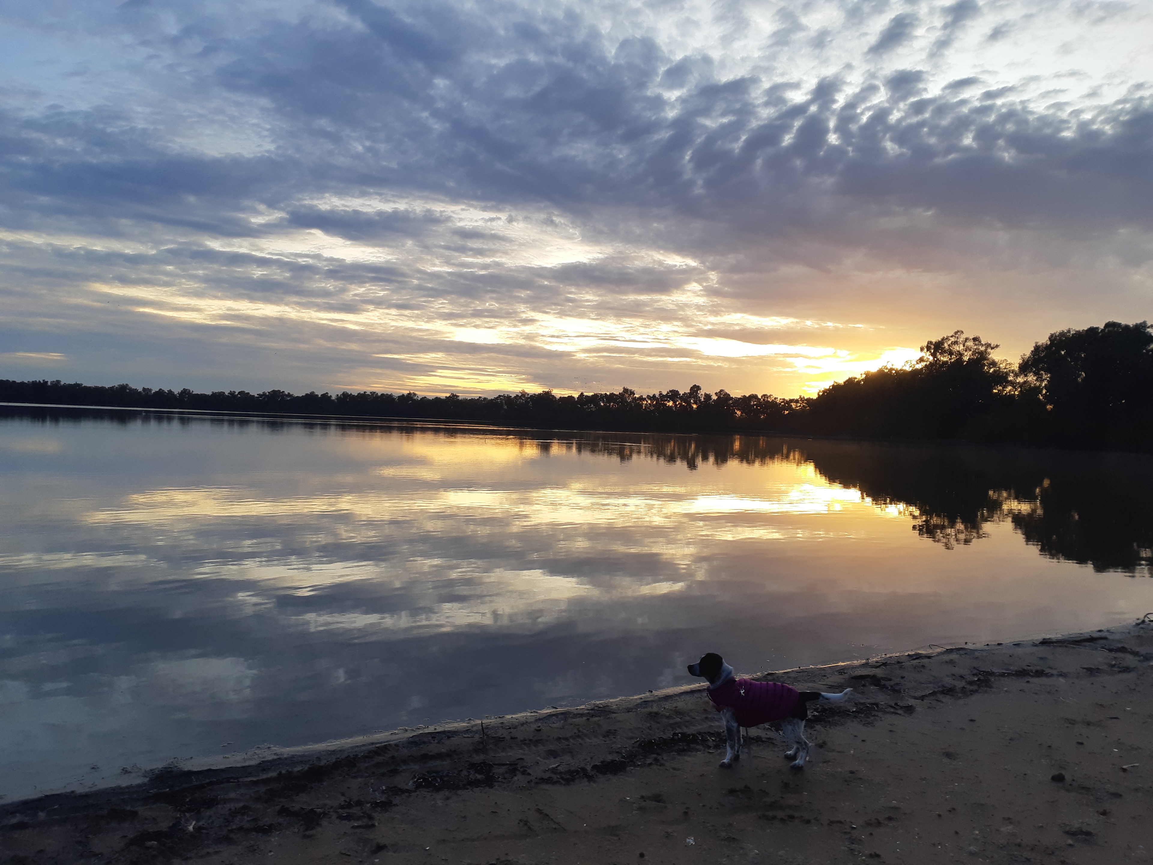 Curlew Camp - Birds & Fishing