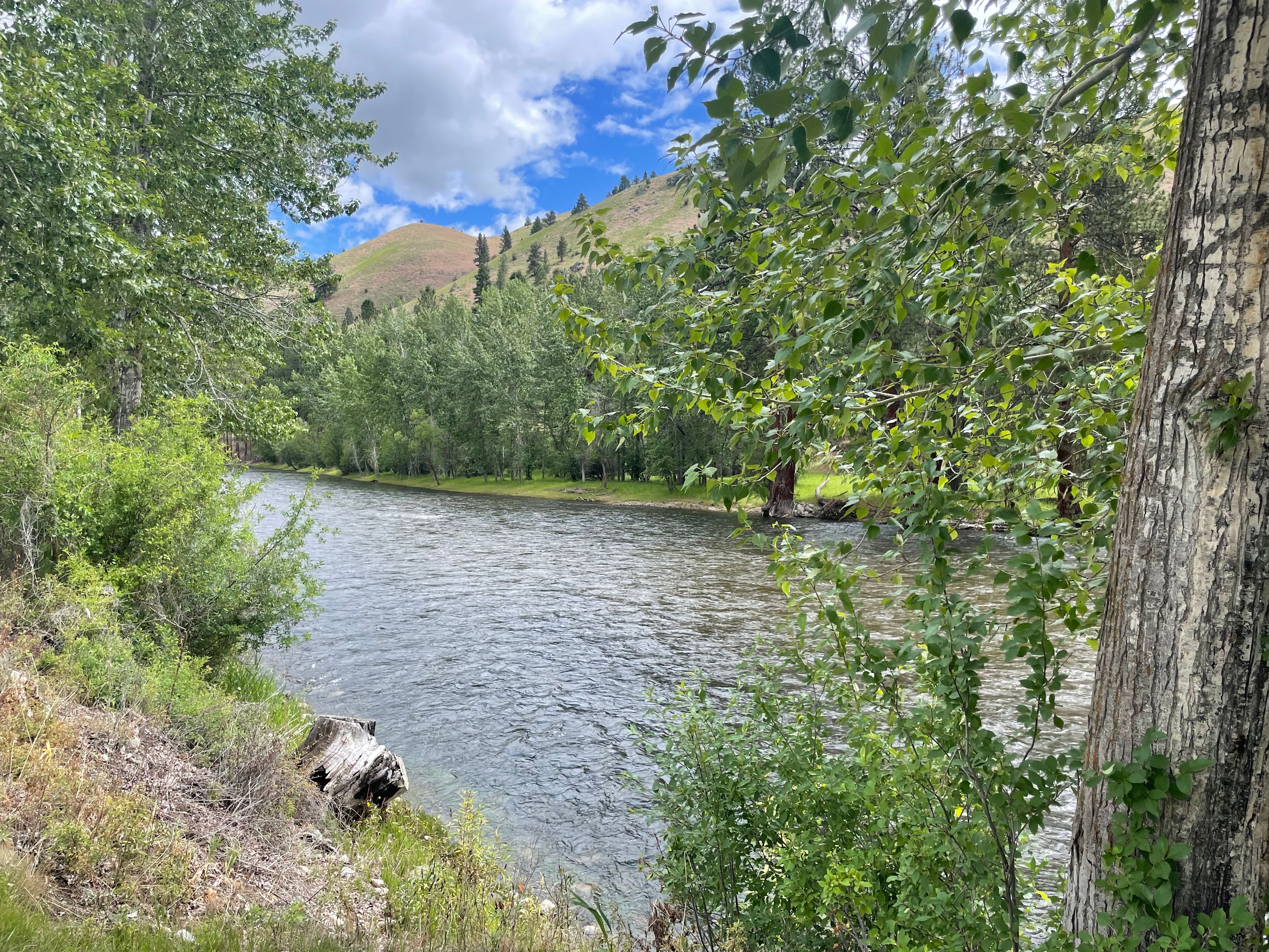 View of the river from the RV sites. 