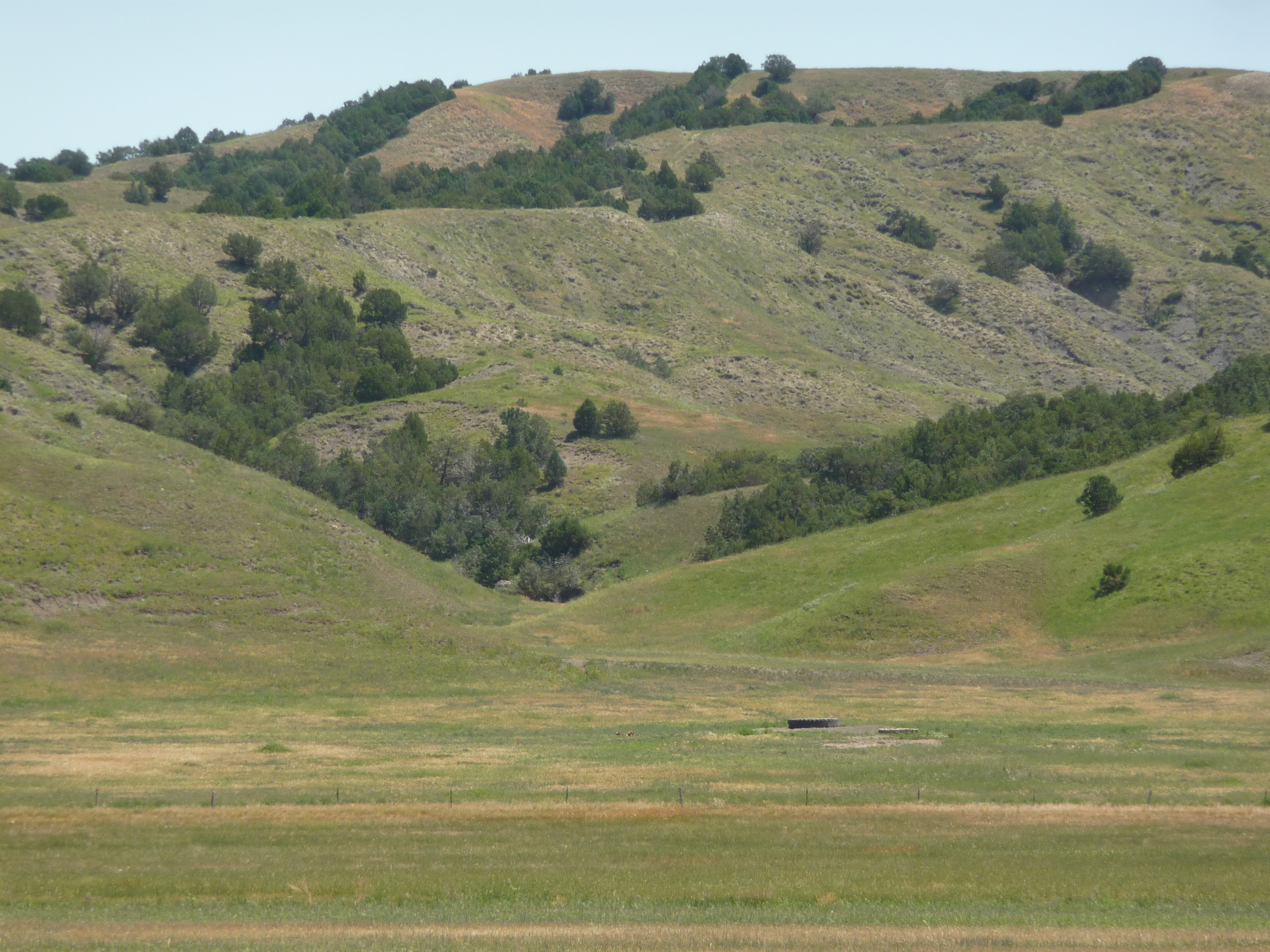 Cheyenne River Bottom
