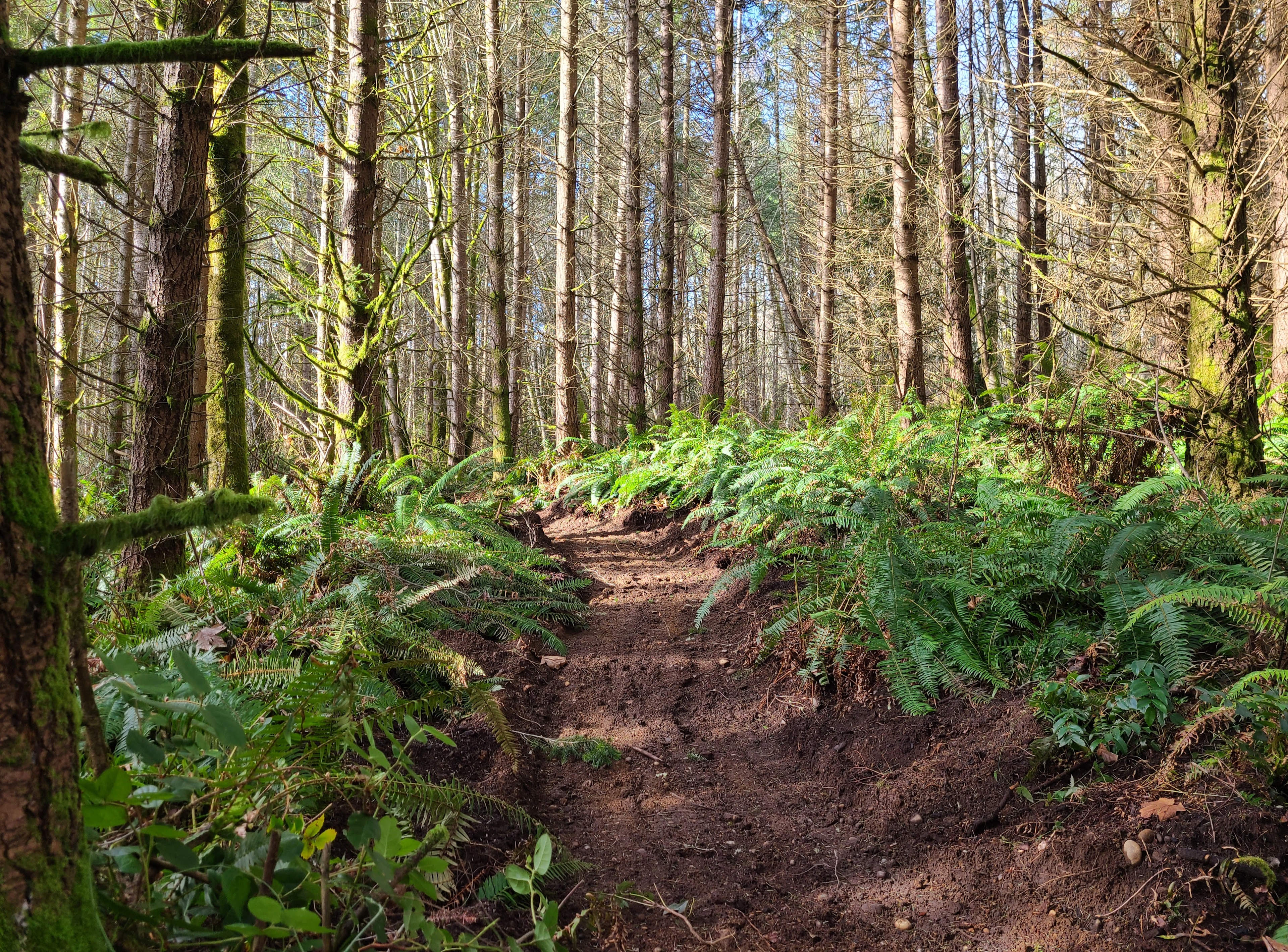 Trails