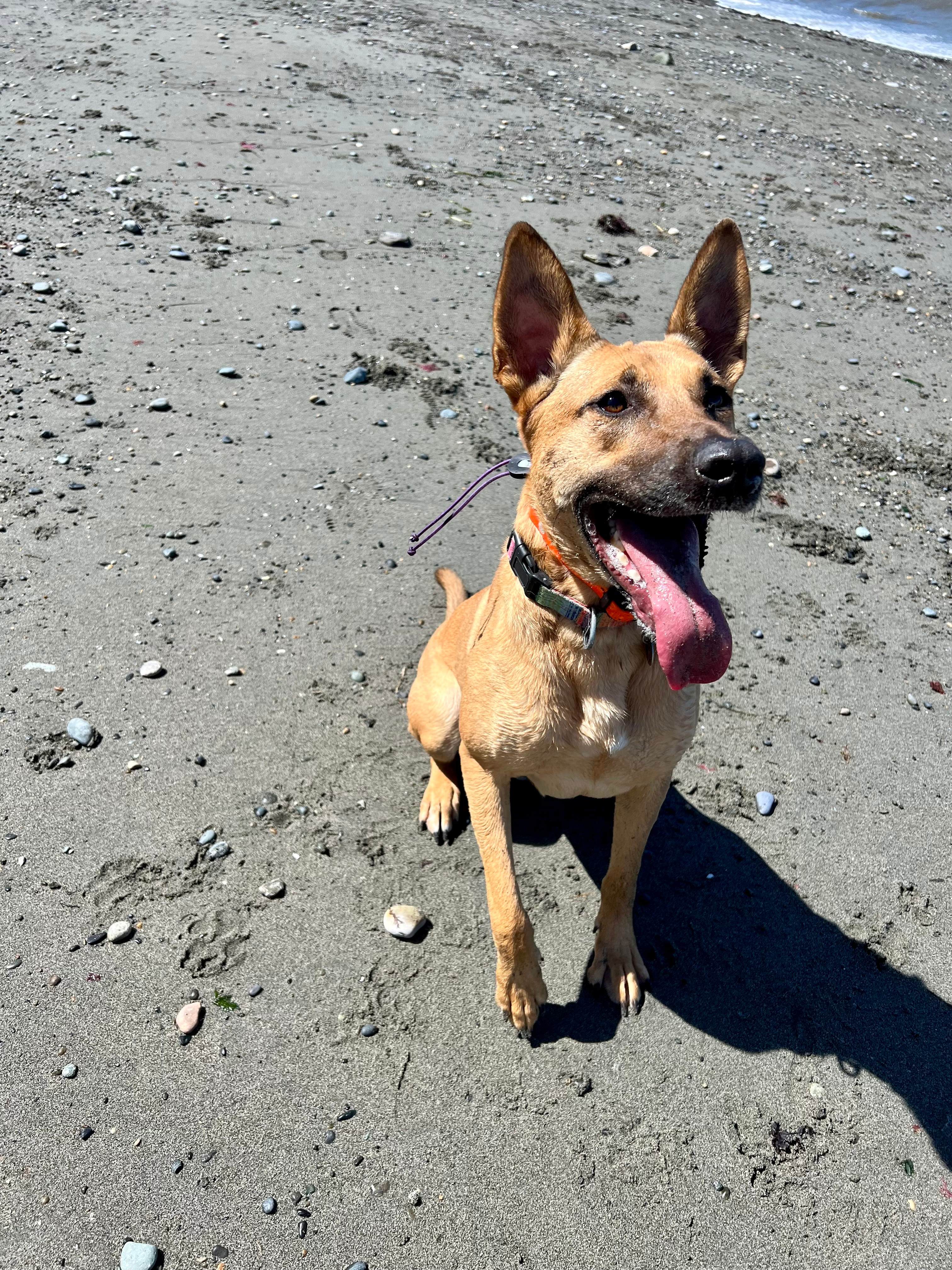 Bob and Rose's RV Pumpkin Patch