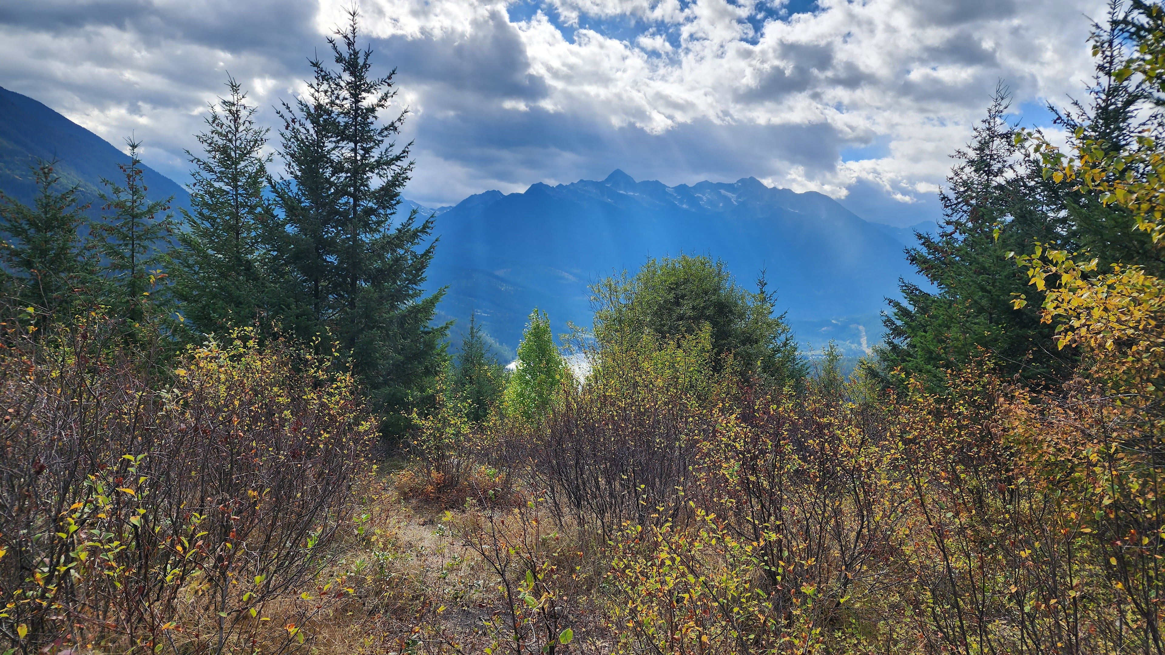 The Sanctum on Highline Road