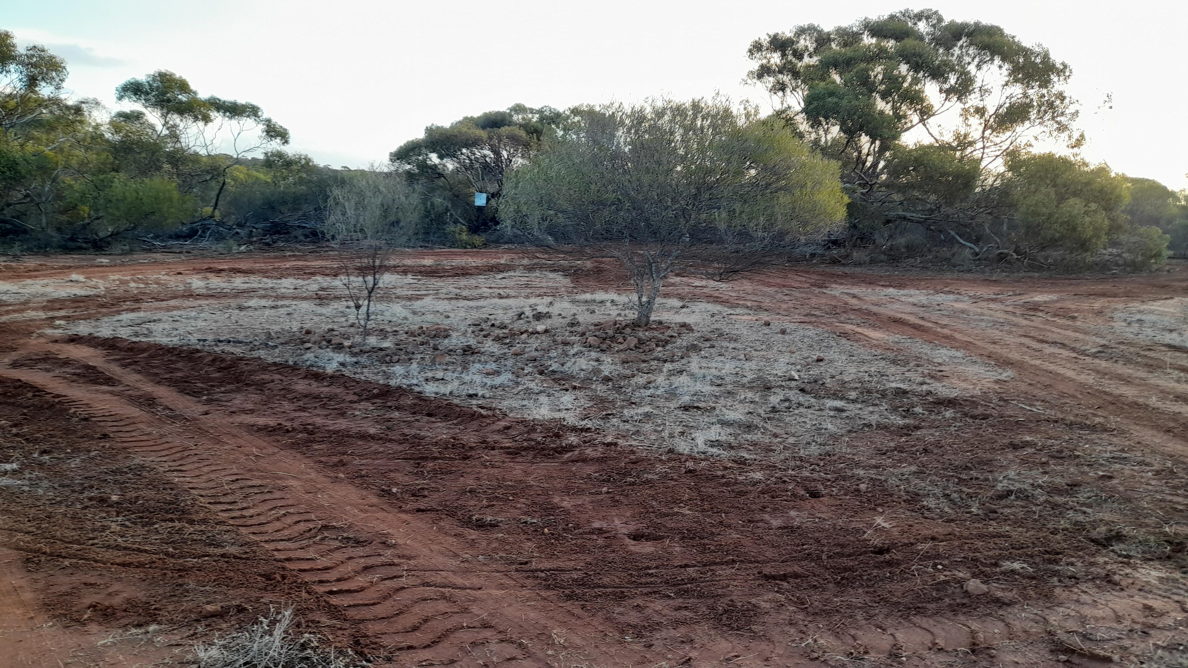 Ajana - Kalbarri Rd Bush Camping
