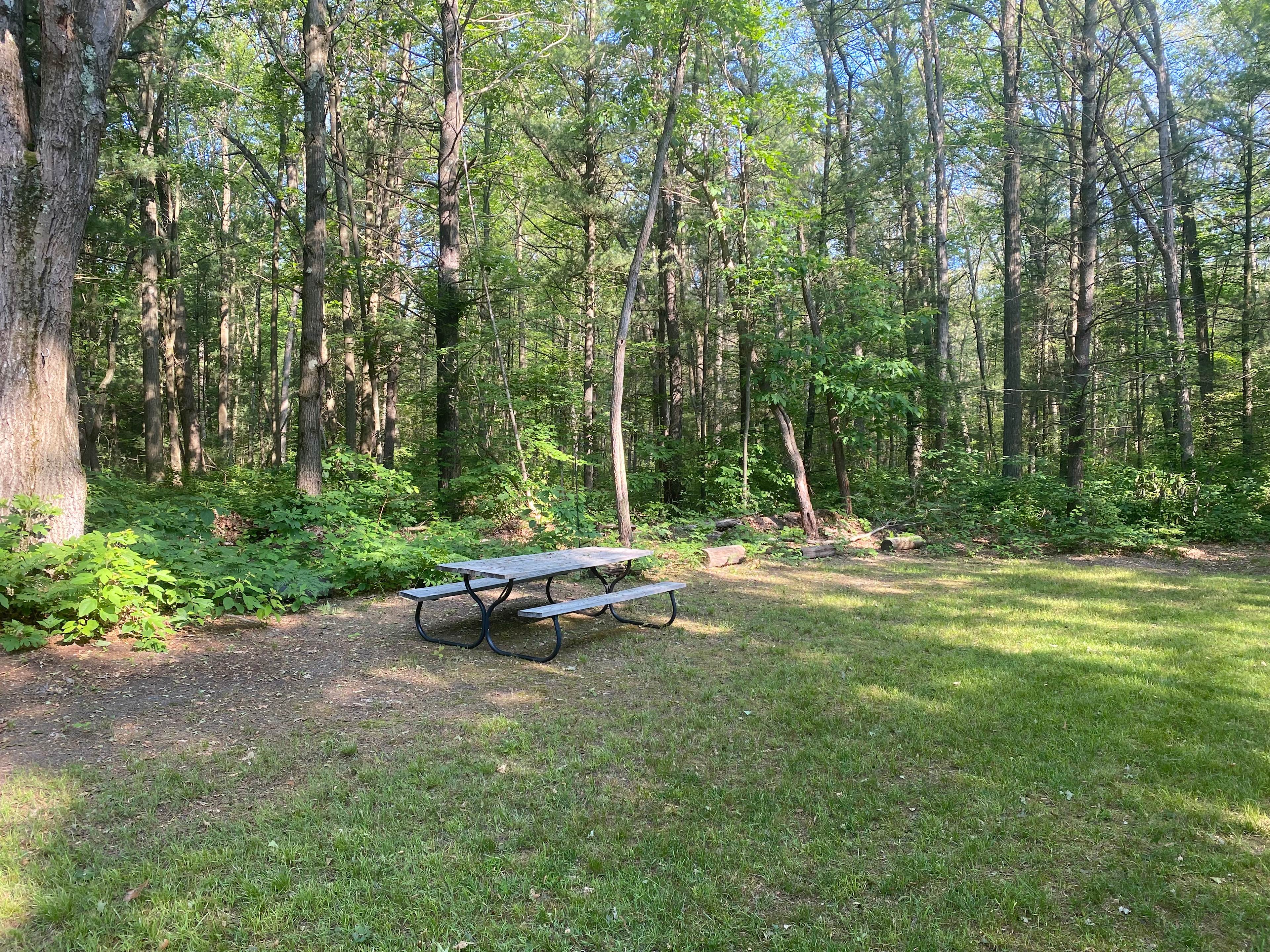 Dalton Traders  Tents  RV's  Cabins