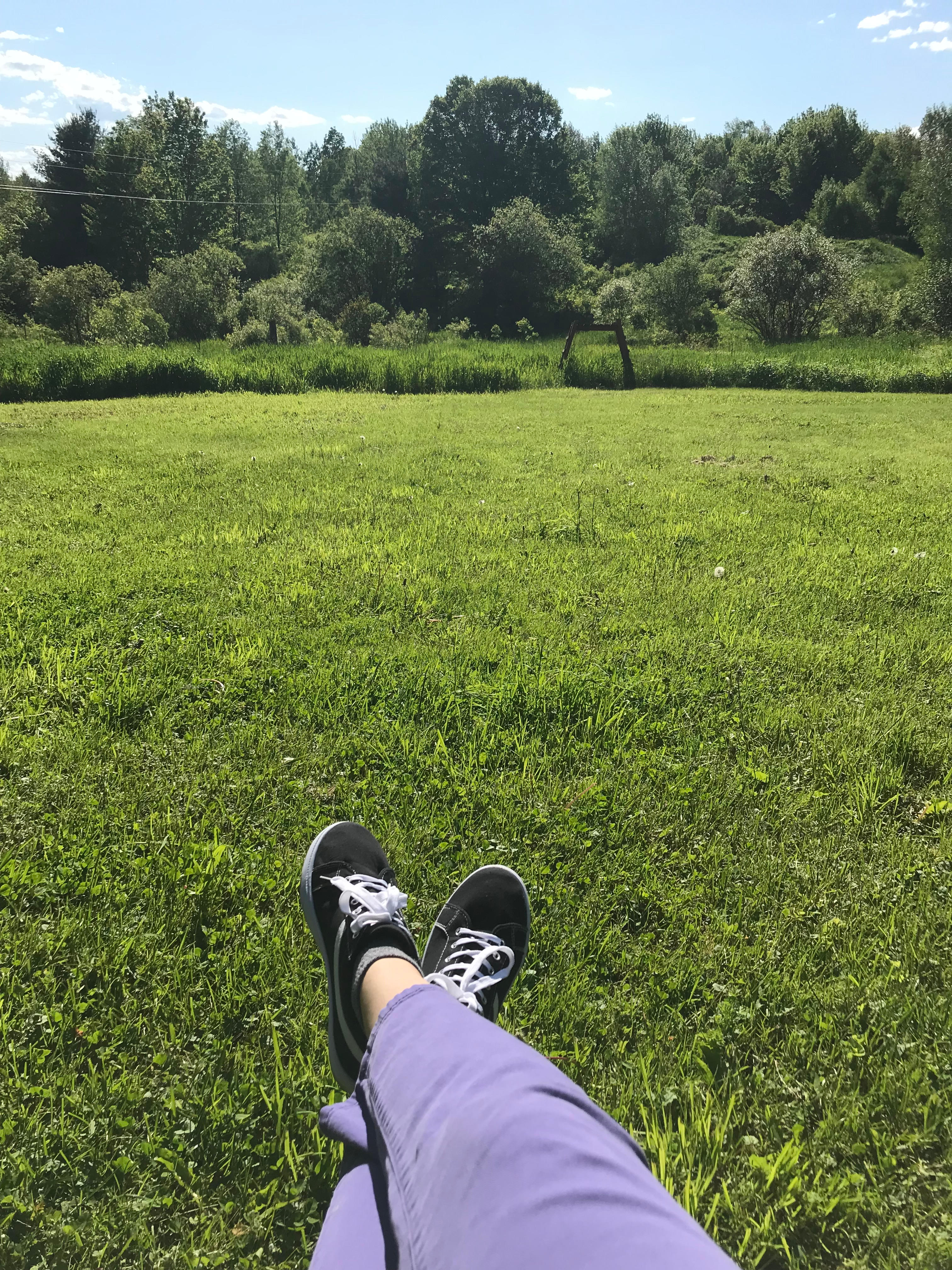 Wild Acres Farm
