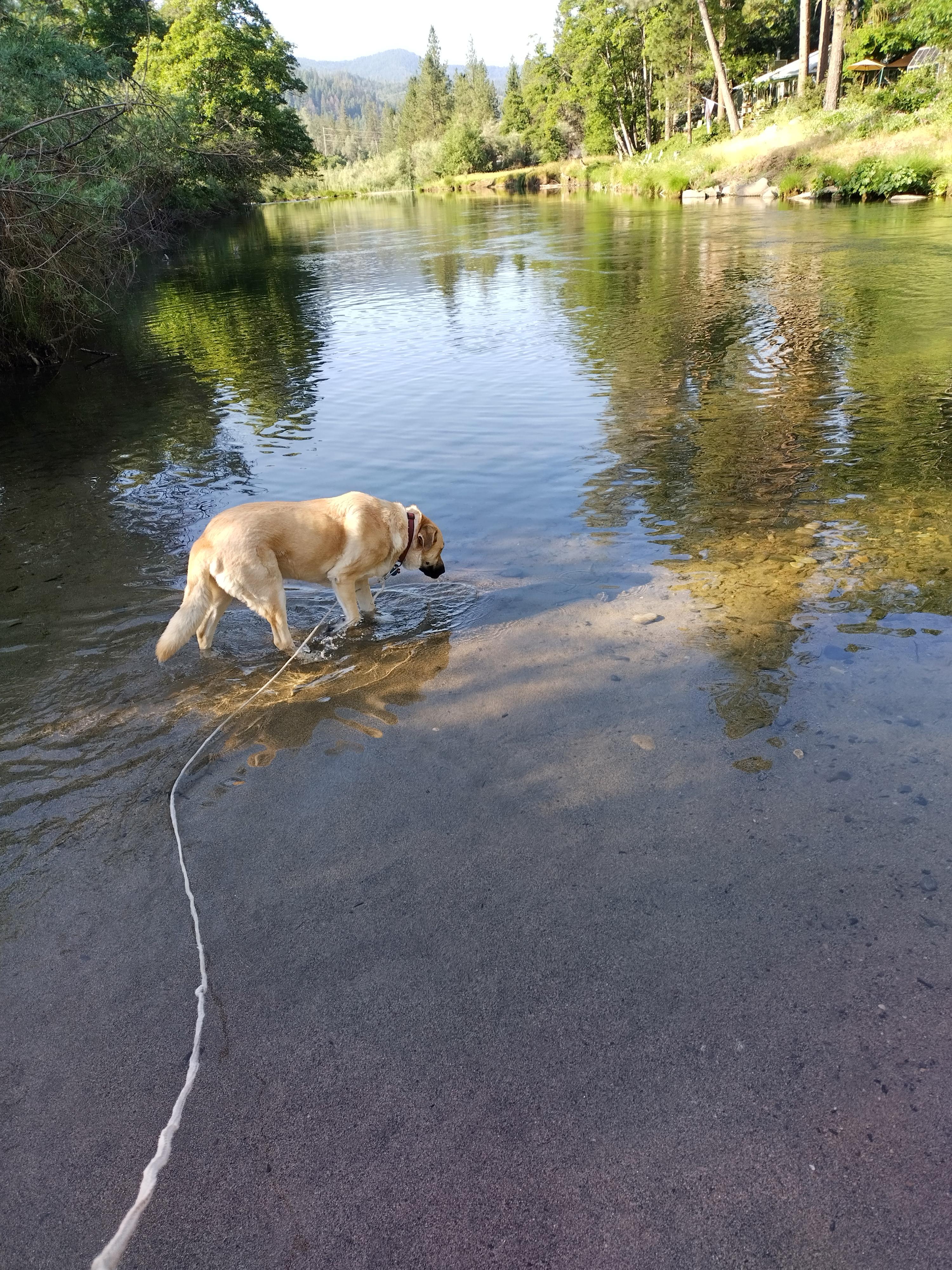 Trinity River FlyCamp