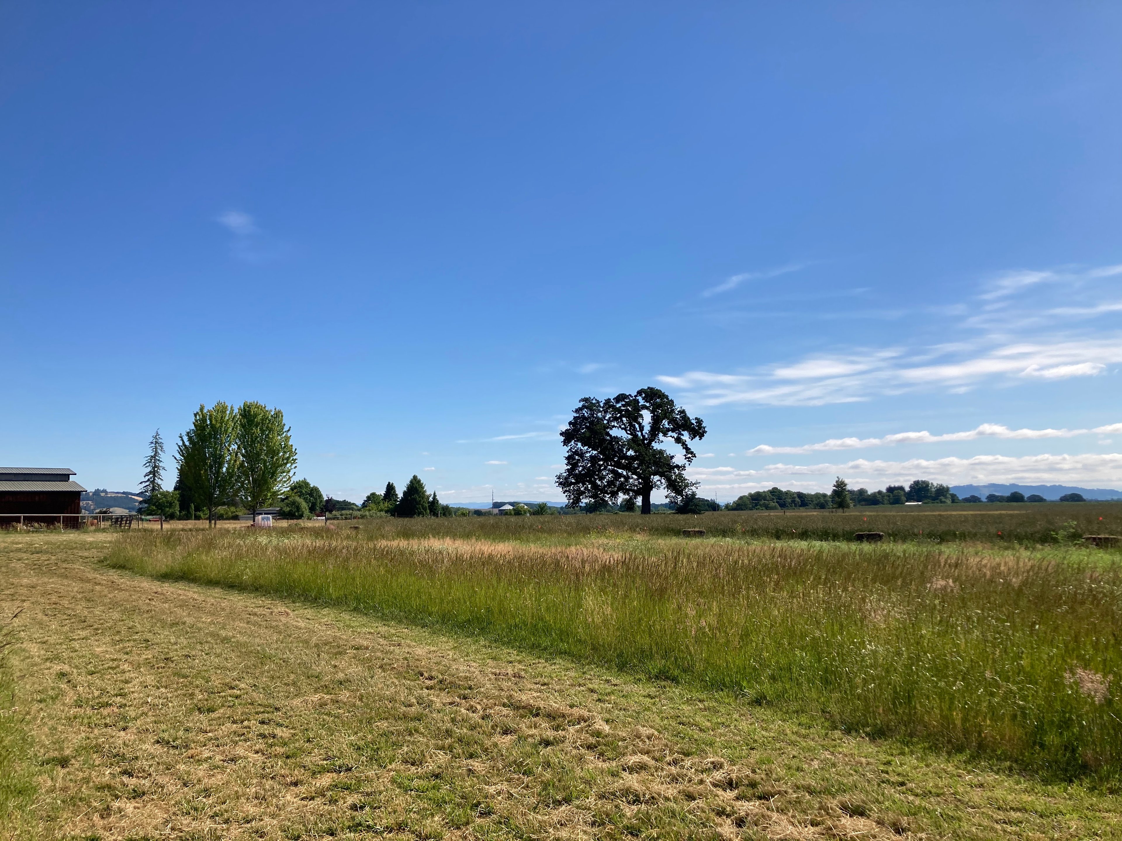 Paradise Island Farmstead