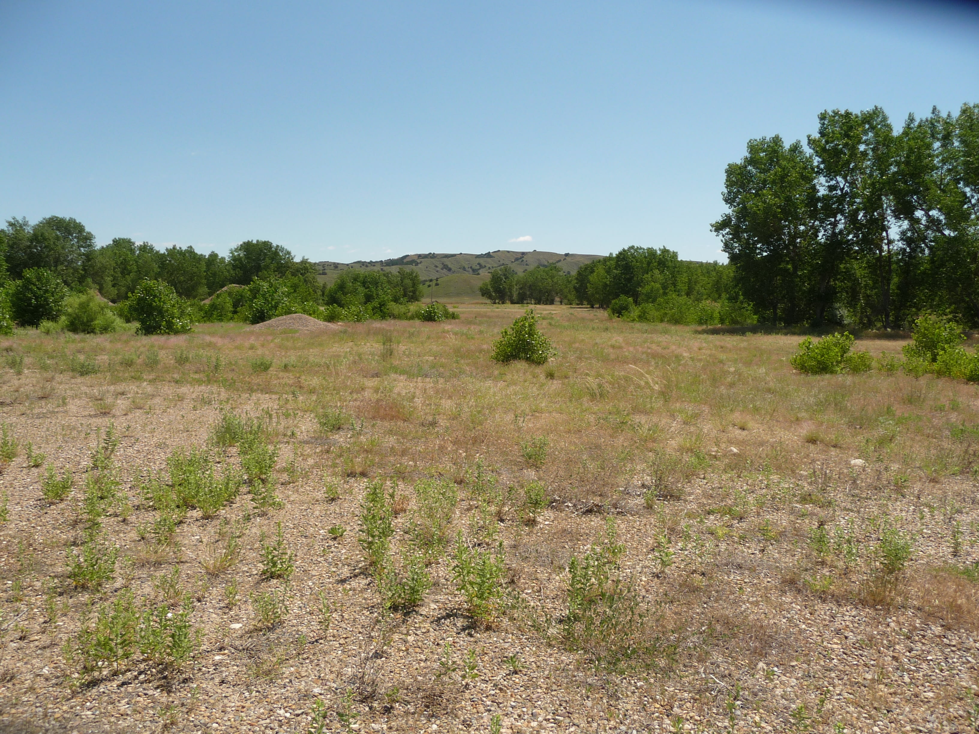Cheyenne River Bottom