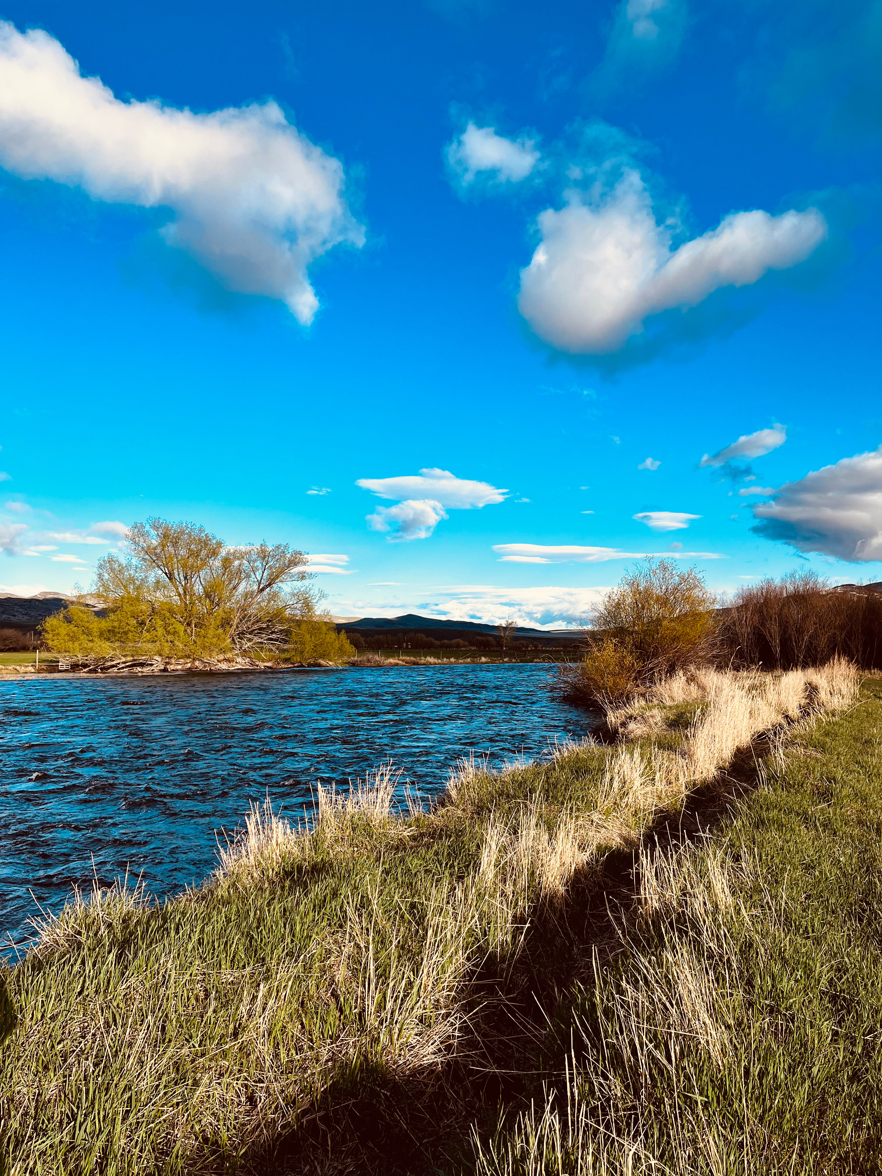 Big Hole Boondockin'